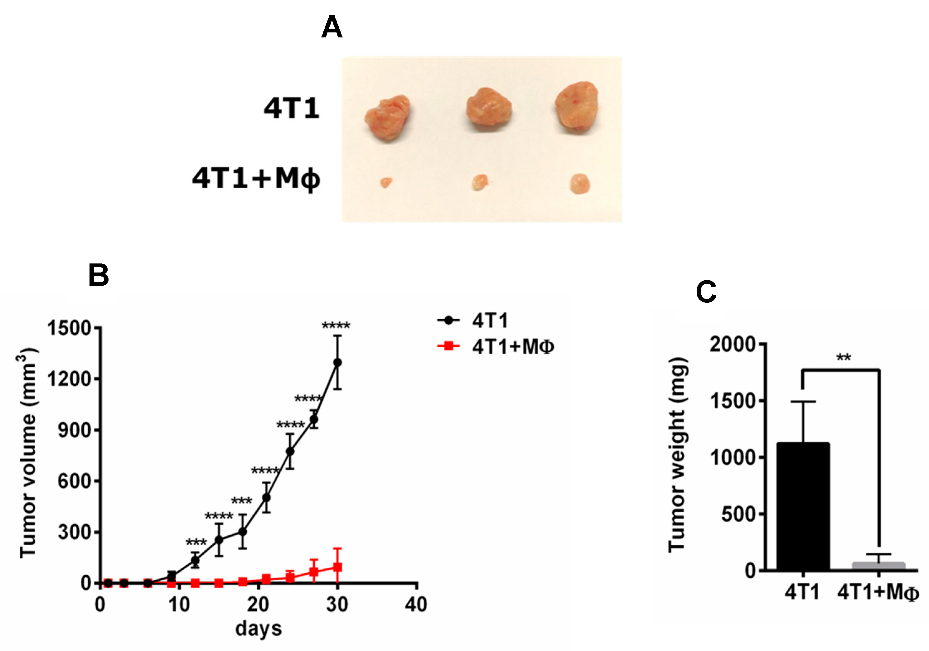 Molecules 24 02016 g001