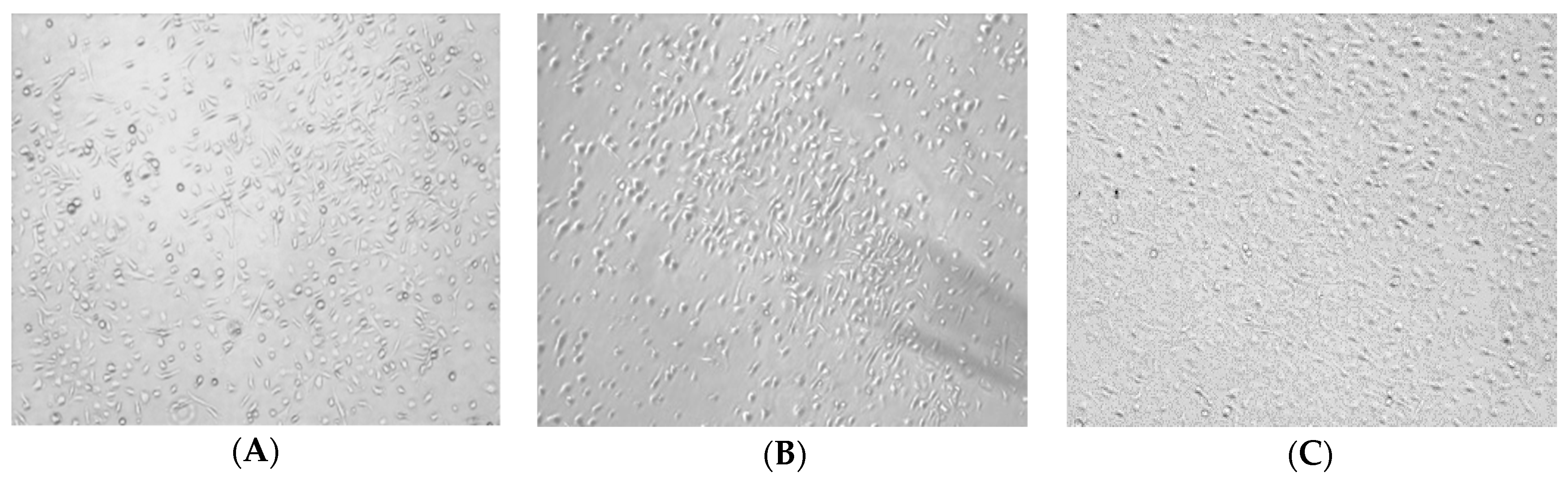 Molecules 24 02016 g002a