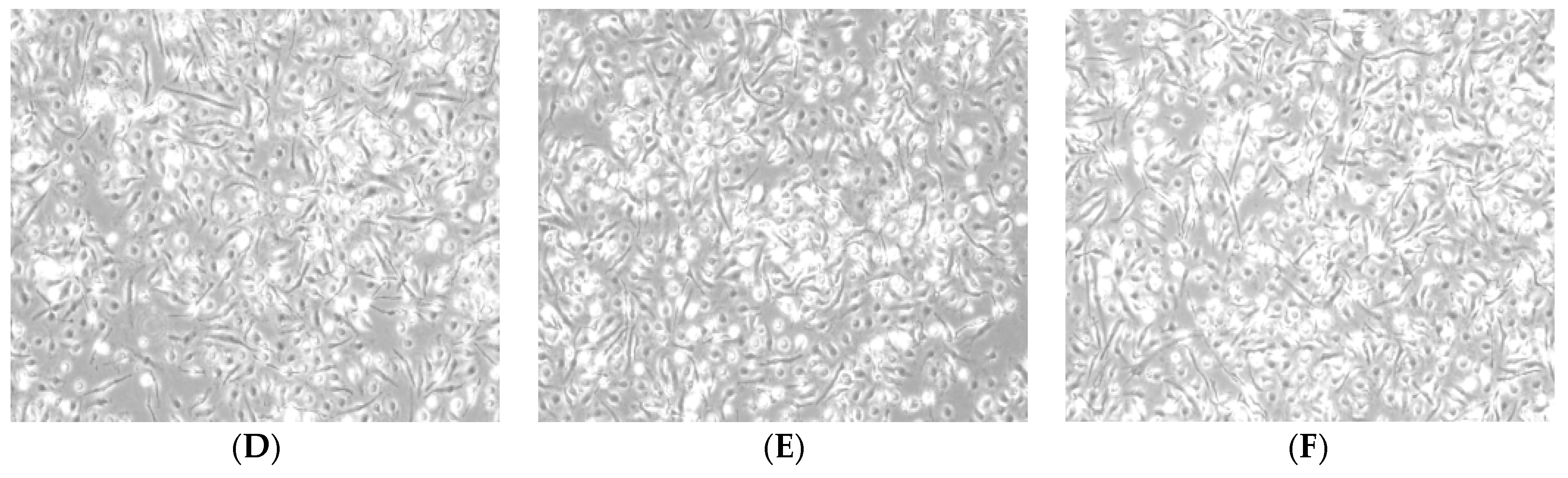 Molecules 24 02016 g002b