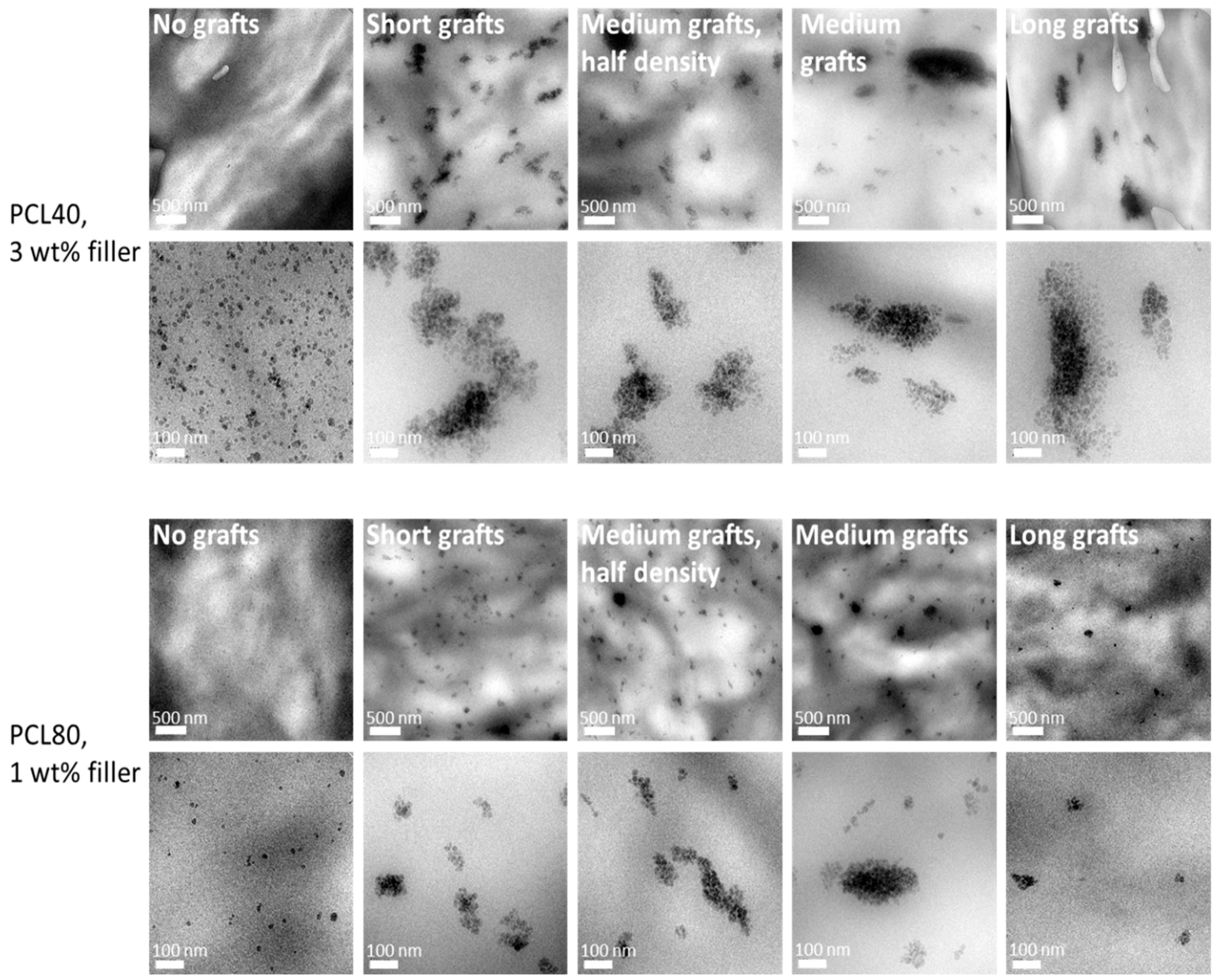 Molecules 24 02106 g005