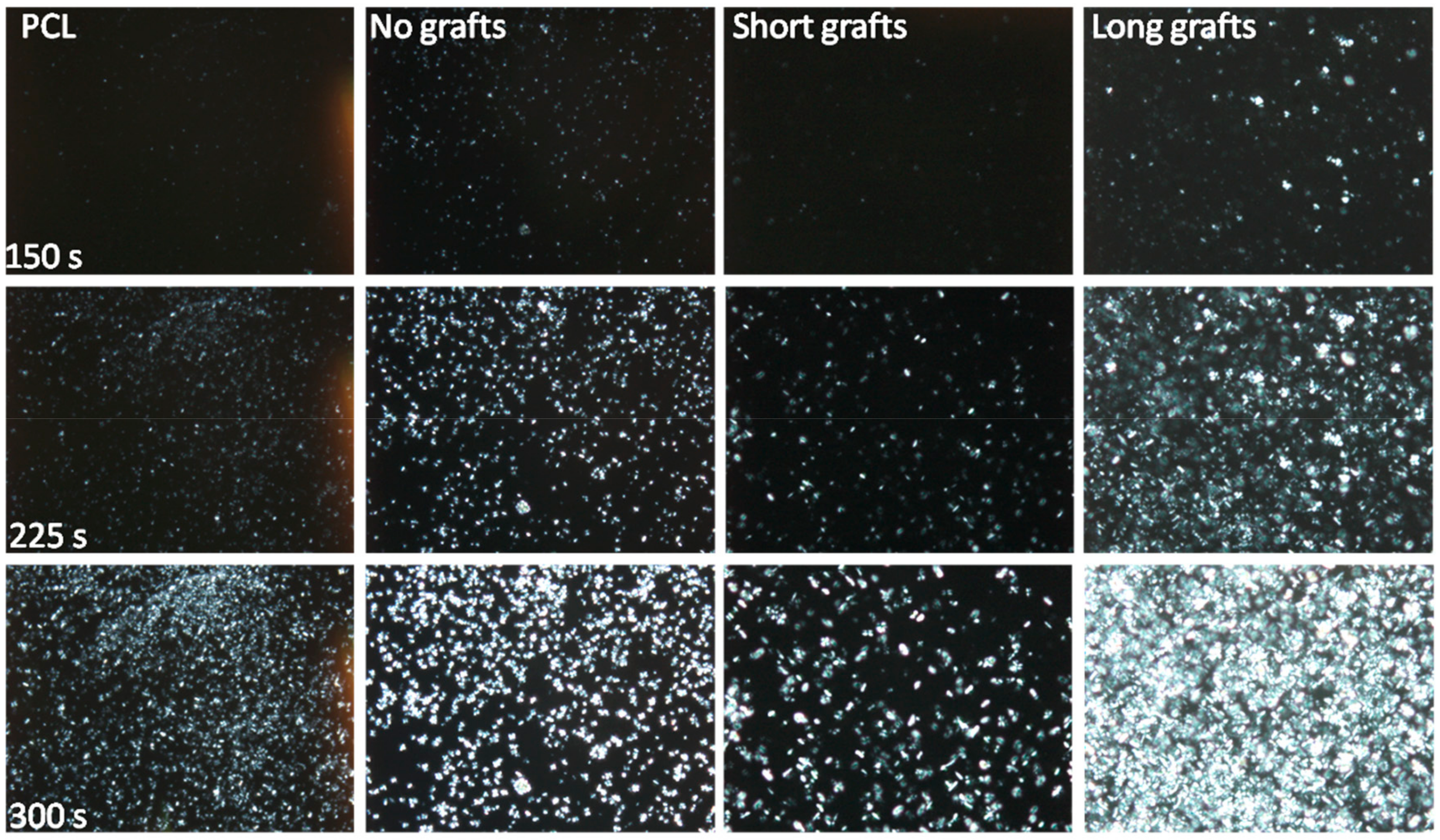 Molecules 24 02106 g008