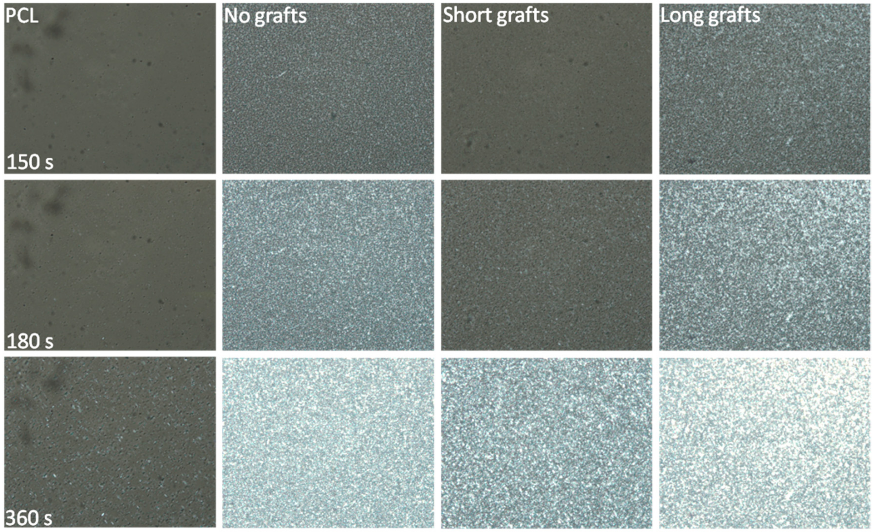 Molecules 24 02106 g010