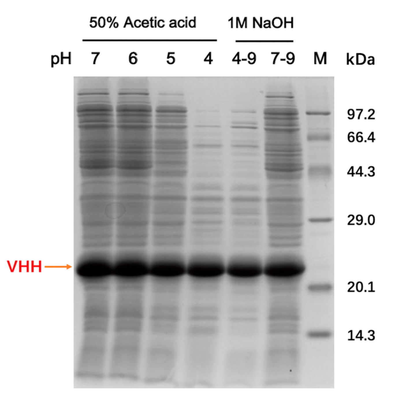 Molecules 24 02119 g001 Molecules 24 02119 g001