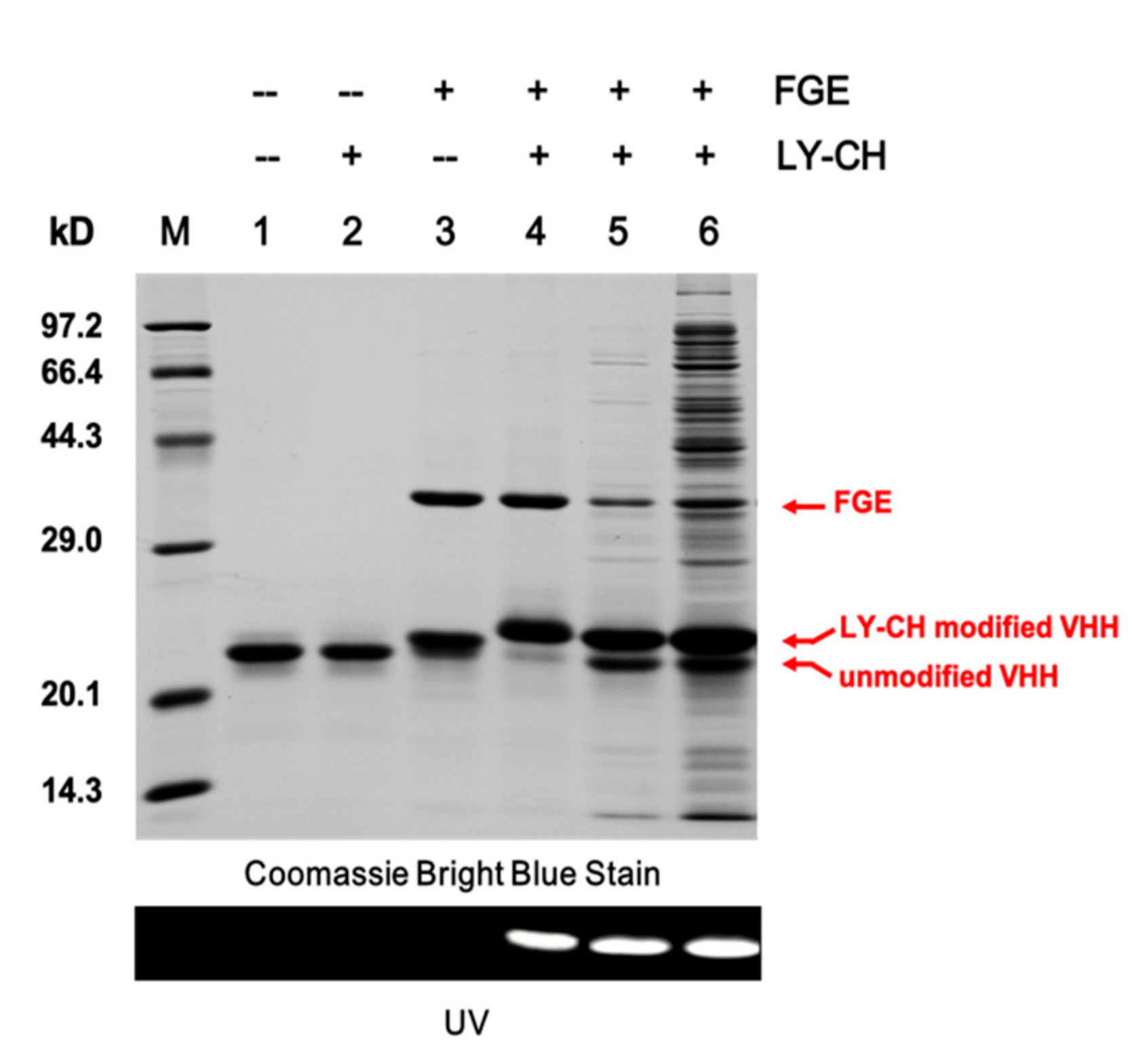 Molecules 24 02119 g002 Molecules 24 02119 g002