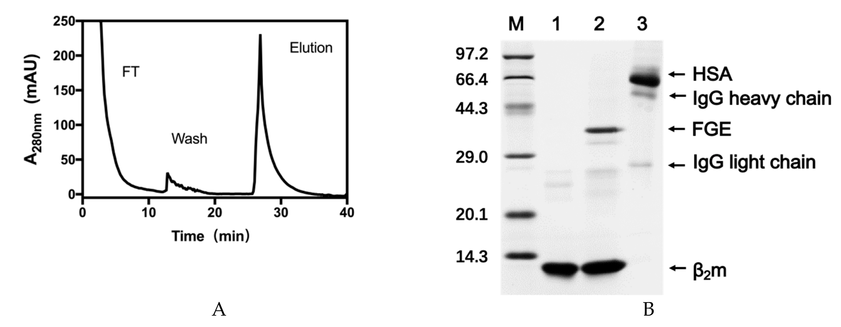 Molecules 24 02119 g006 Molecules 24 02119 g006