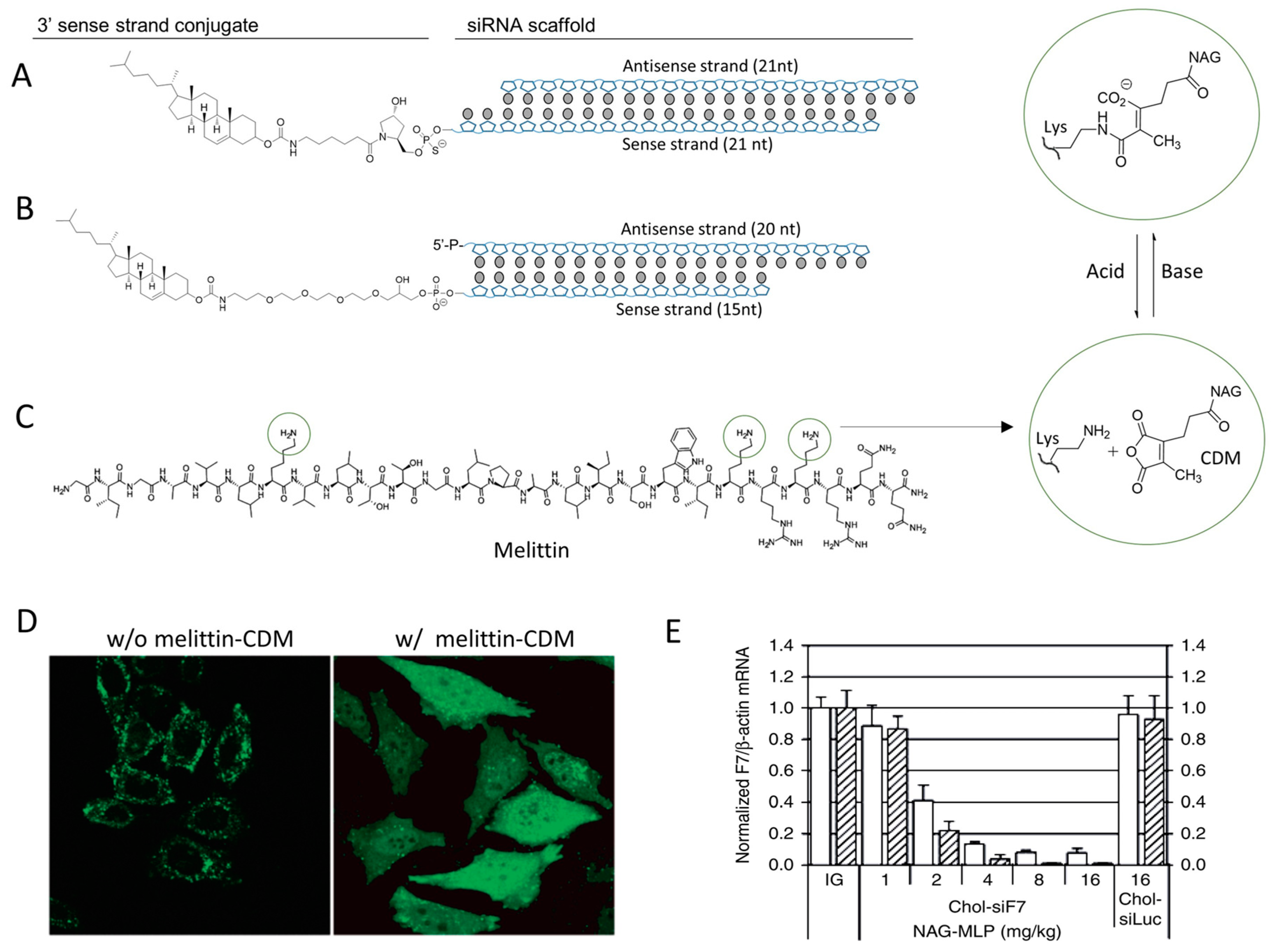 Molecules 24 02211 g004