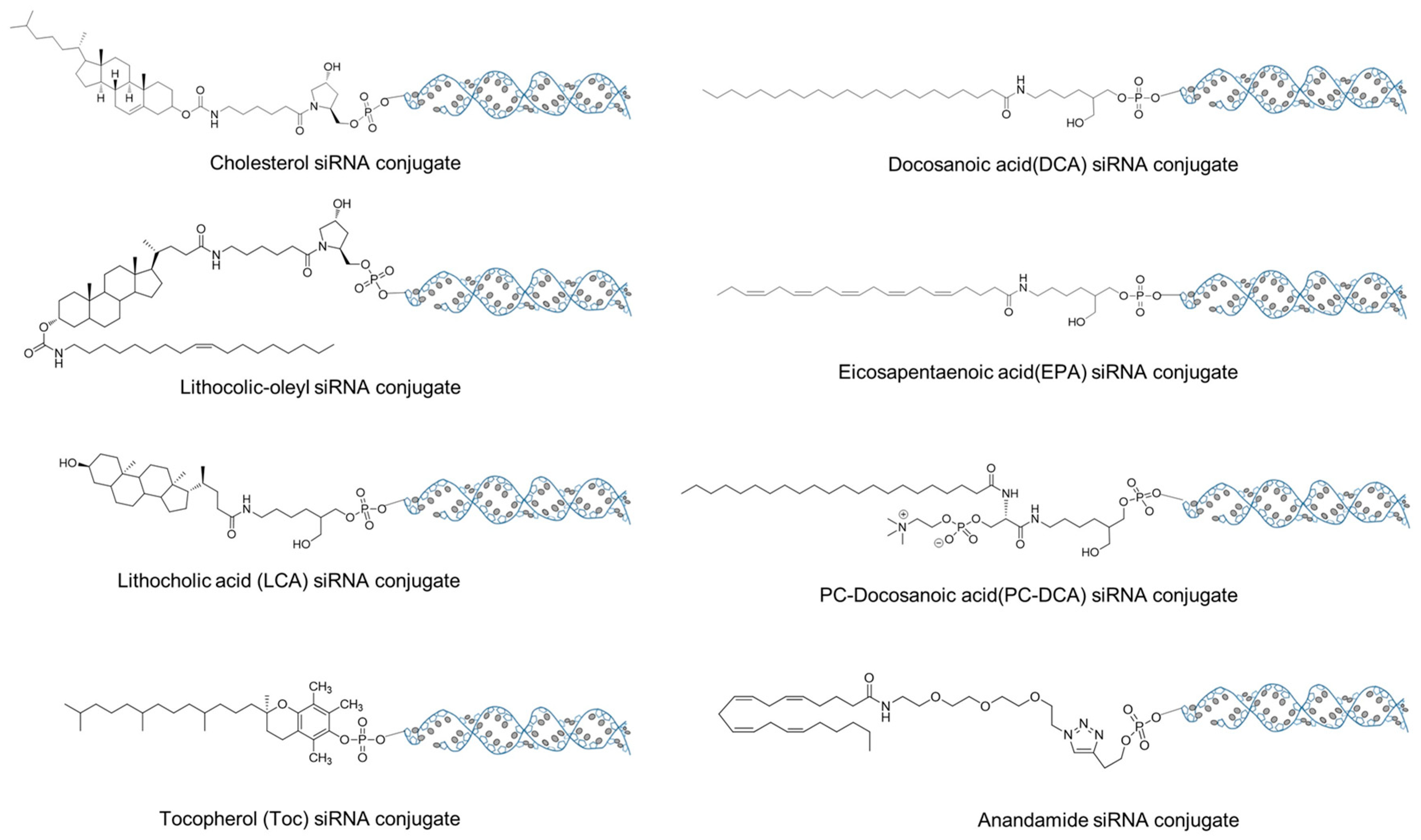 Molecules 24 02211 g005