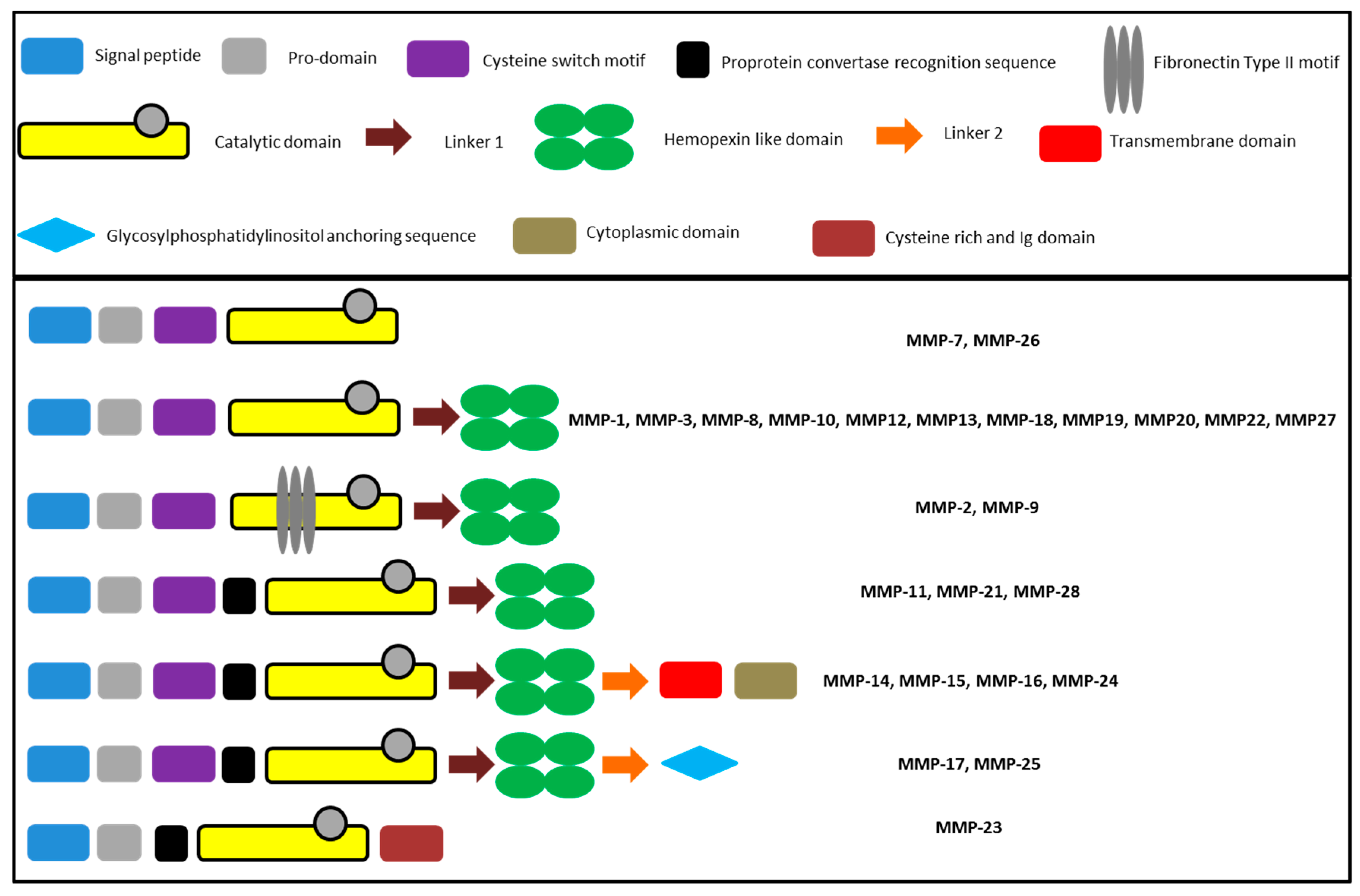 Molecules | Free Full-Text | Inhibitory Antibodies Designed for