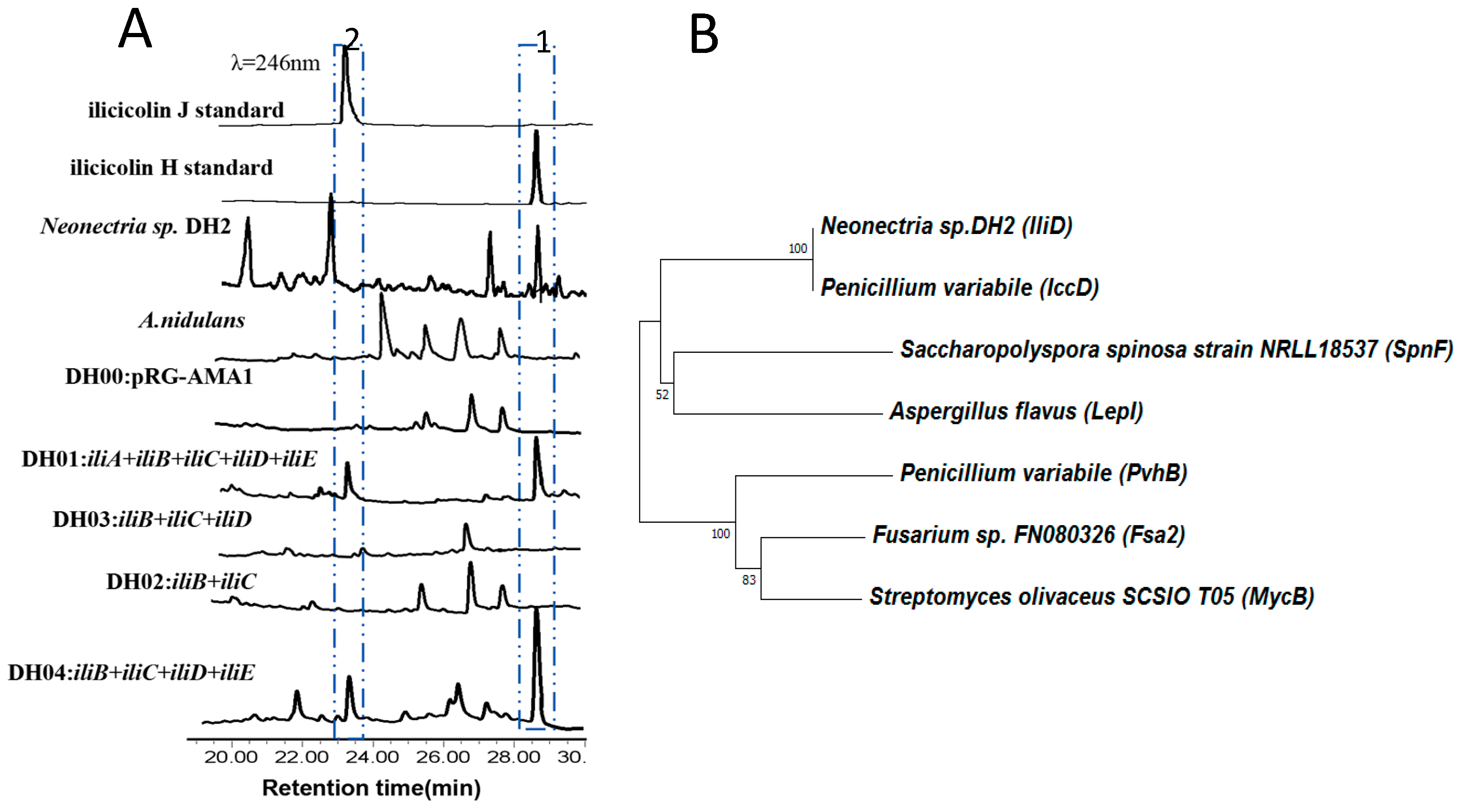 Molecules 24 02267 g003 Molecules 24 02267 g003