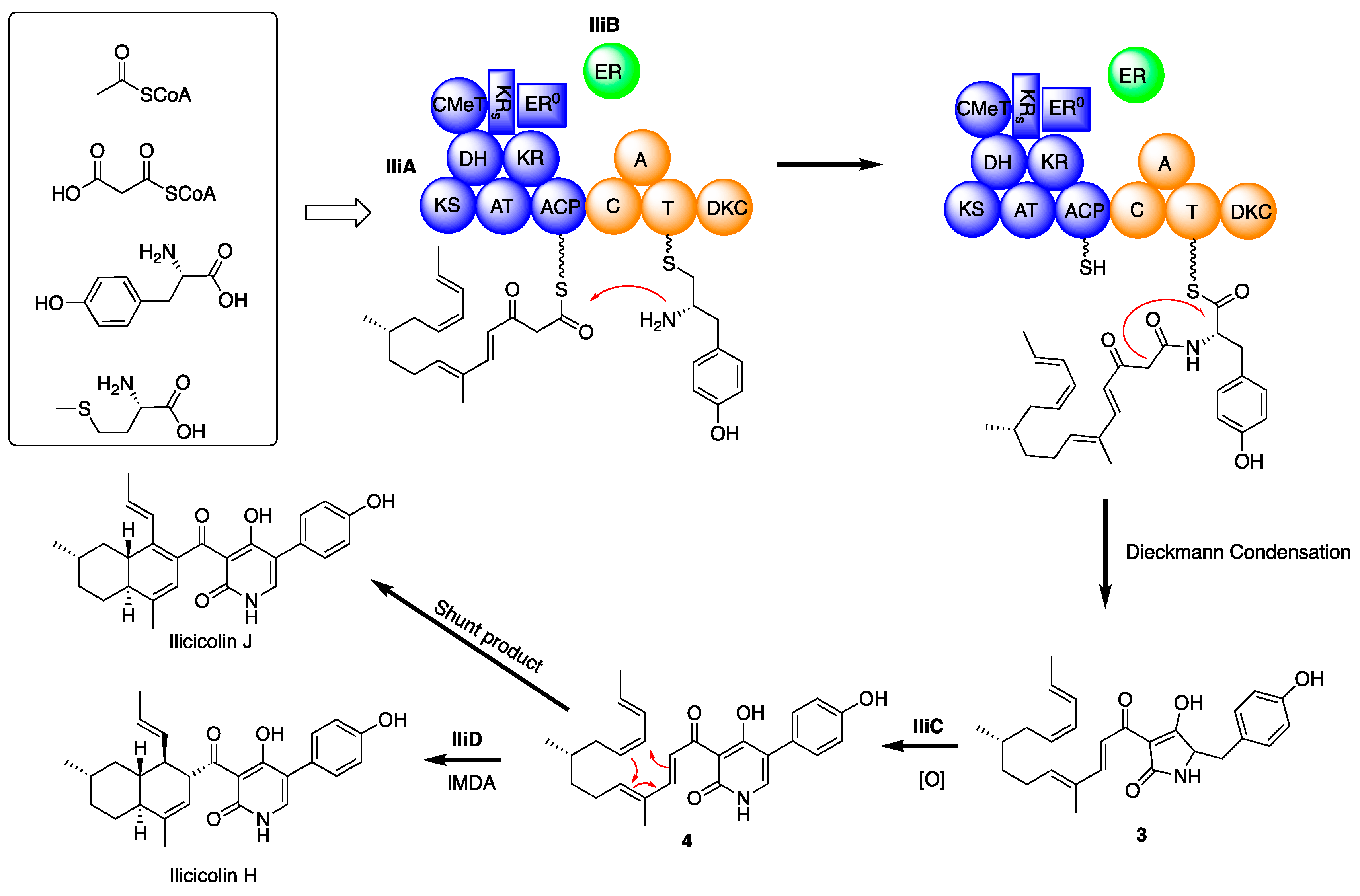 Molecules 24 02267 g004 Molecules 24 02267 g004