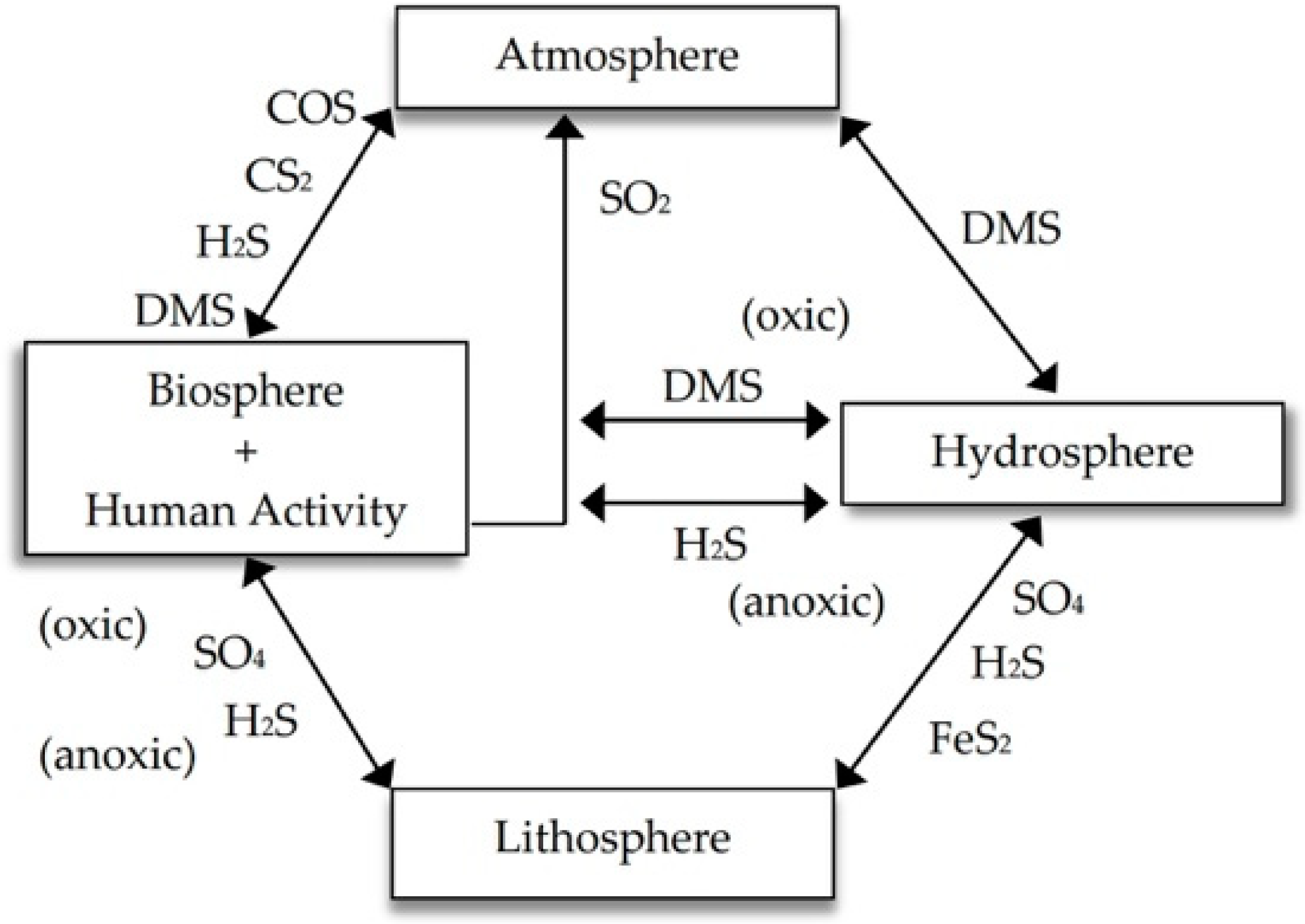 Molecules 24 02282 g001 Molecules 24 02282 g001