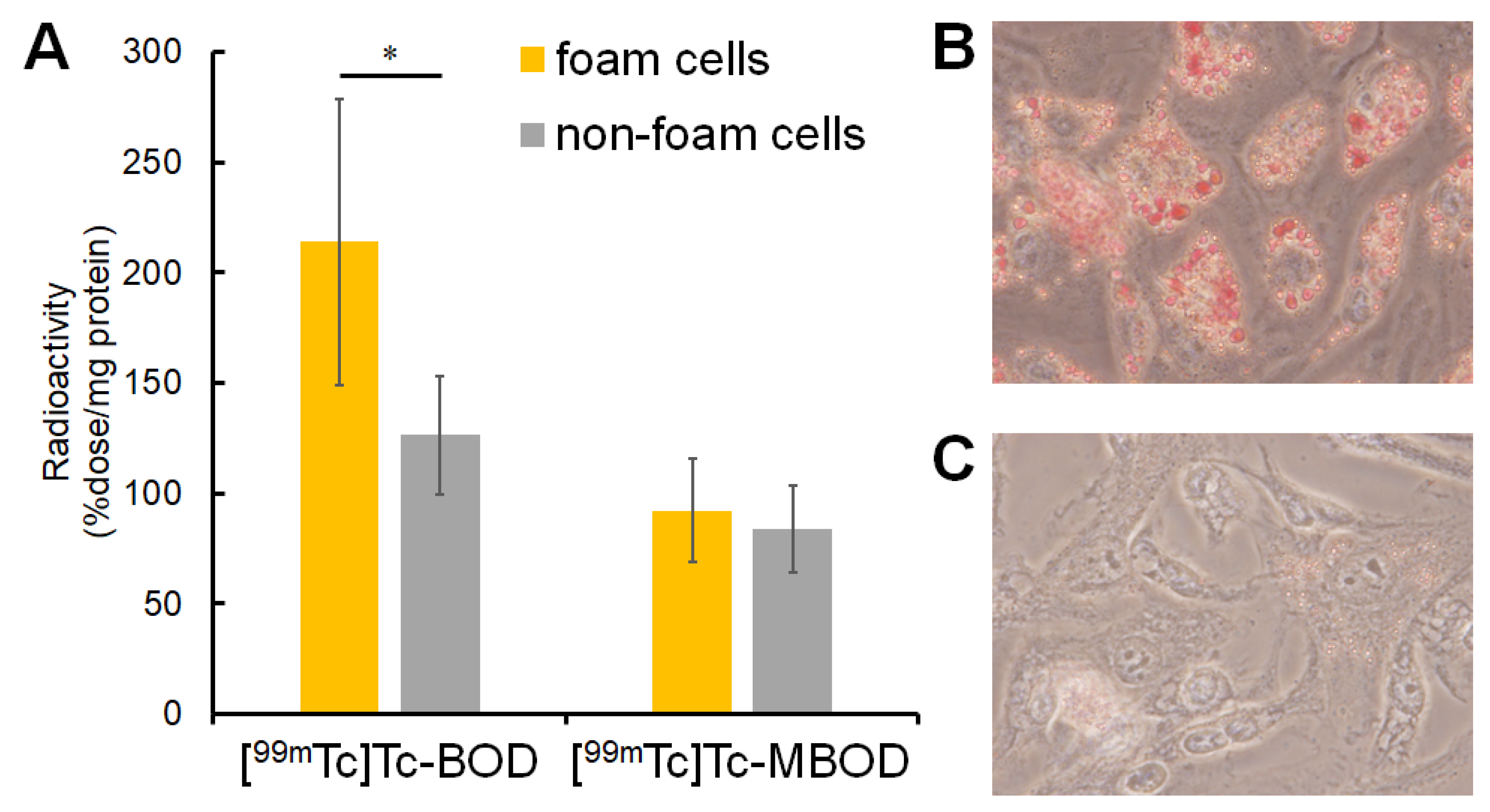 Molecules 24 02283 g002