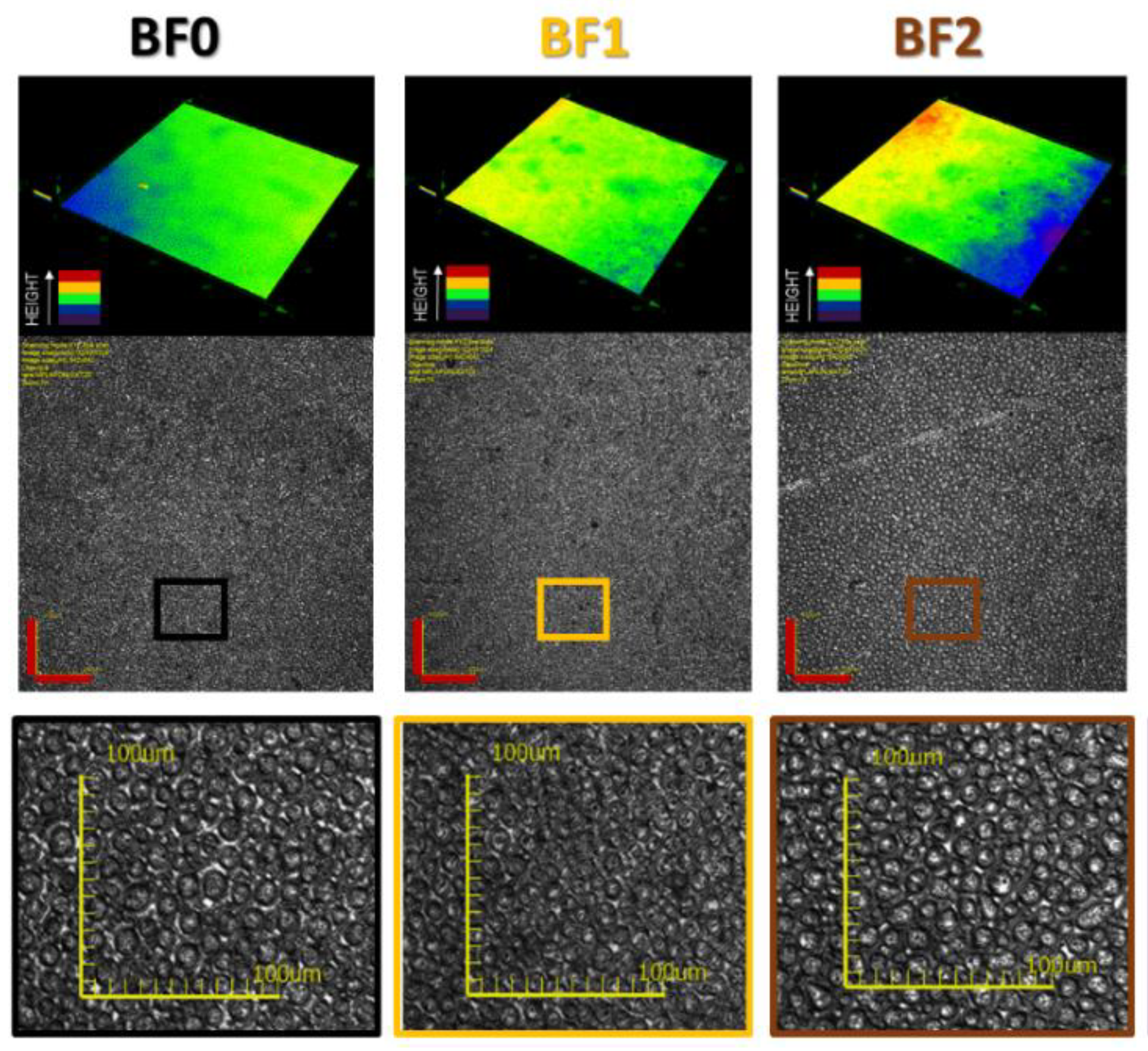 Molecules 24 02313 g004 Molecules 24 02313 g004
