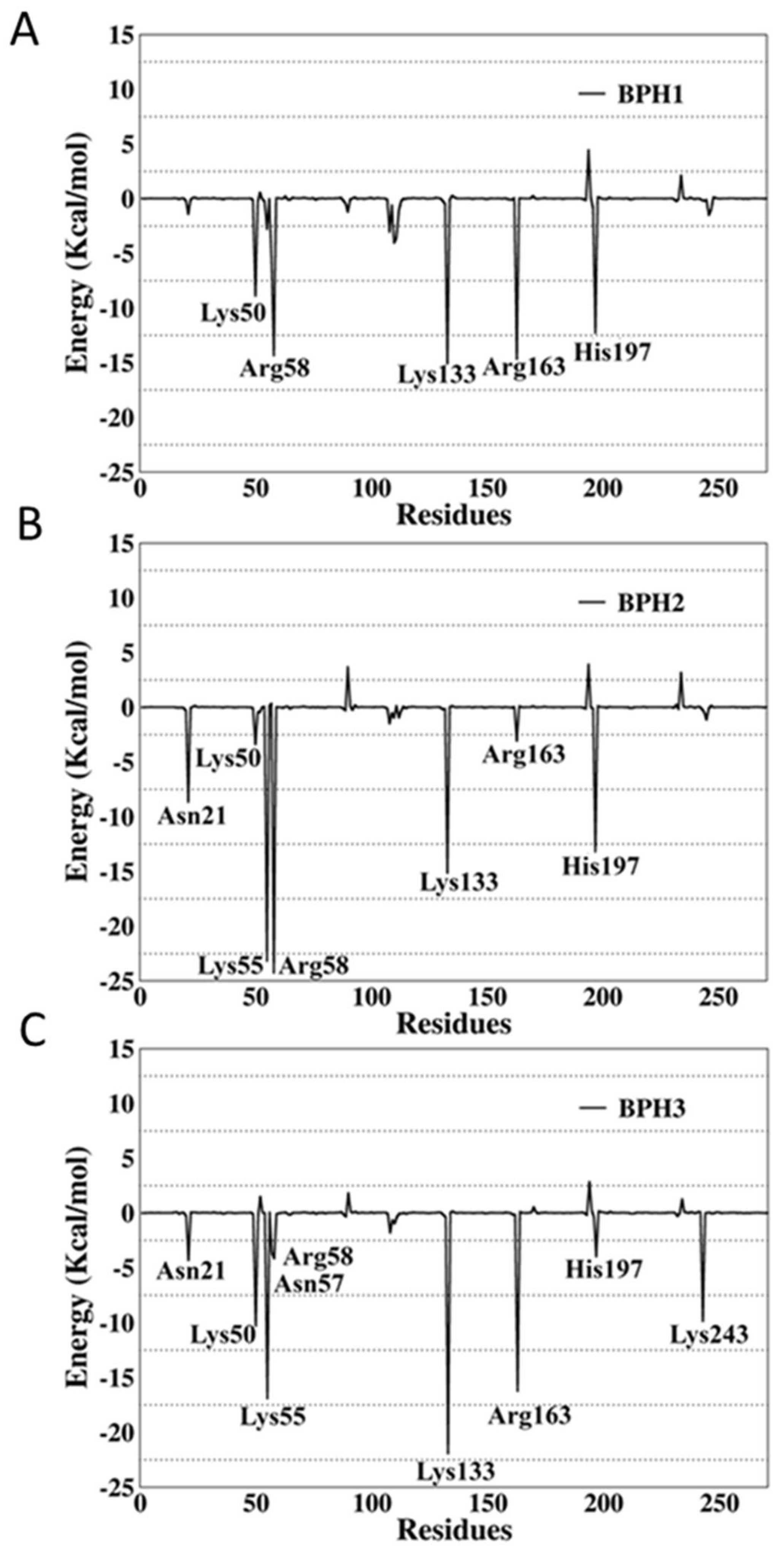 Molecules 24 02370 g007