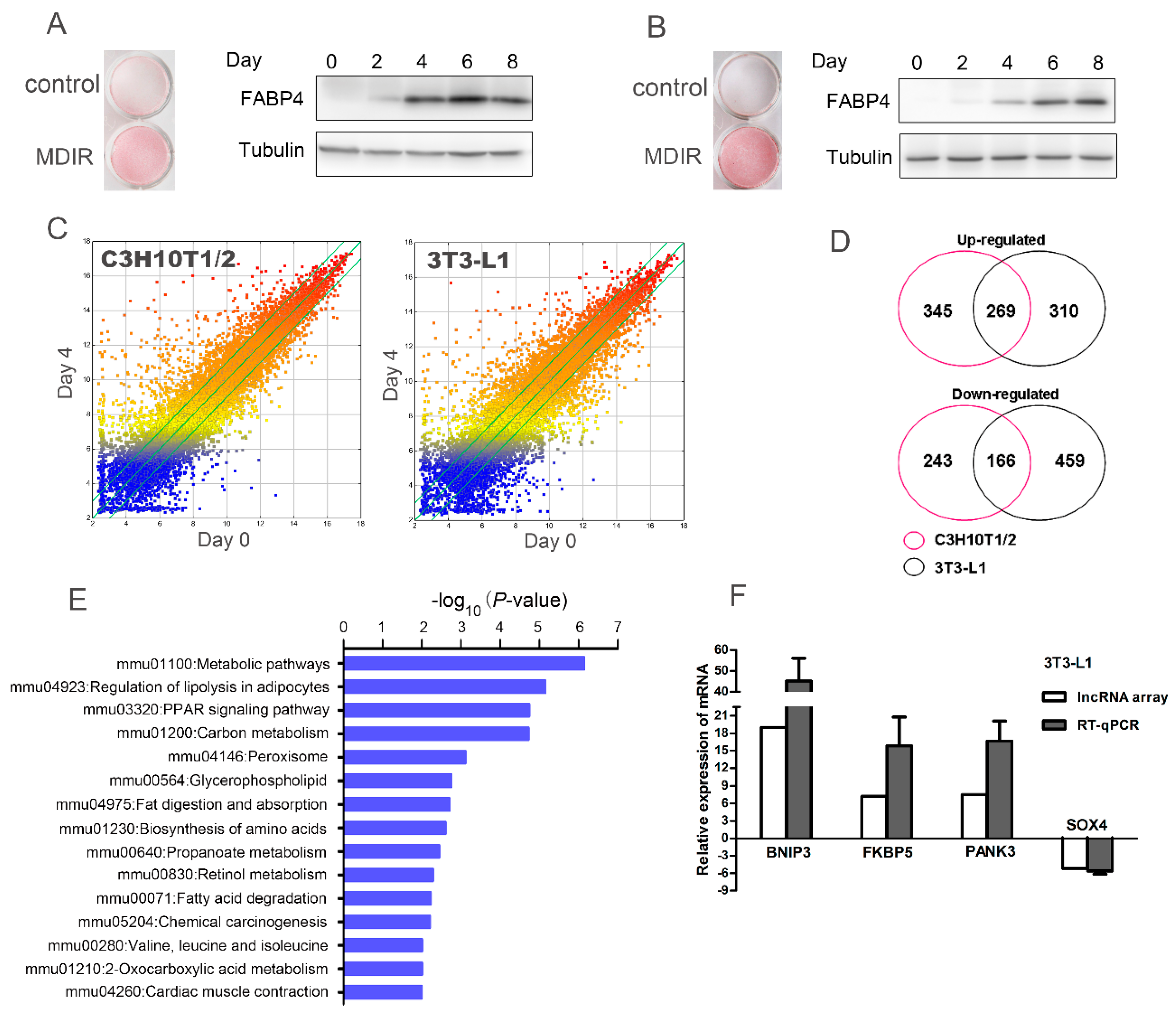 Molecules 24 02391 g001