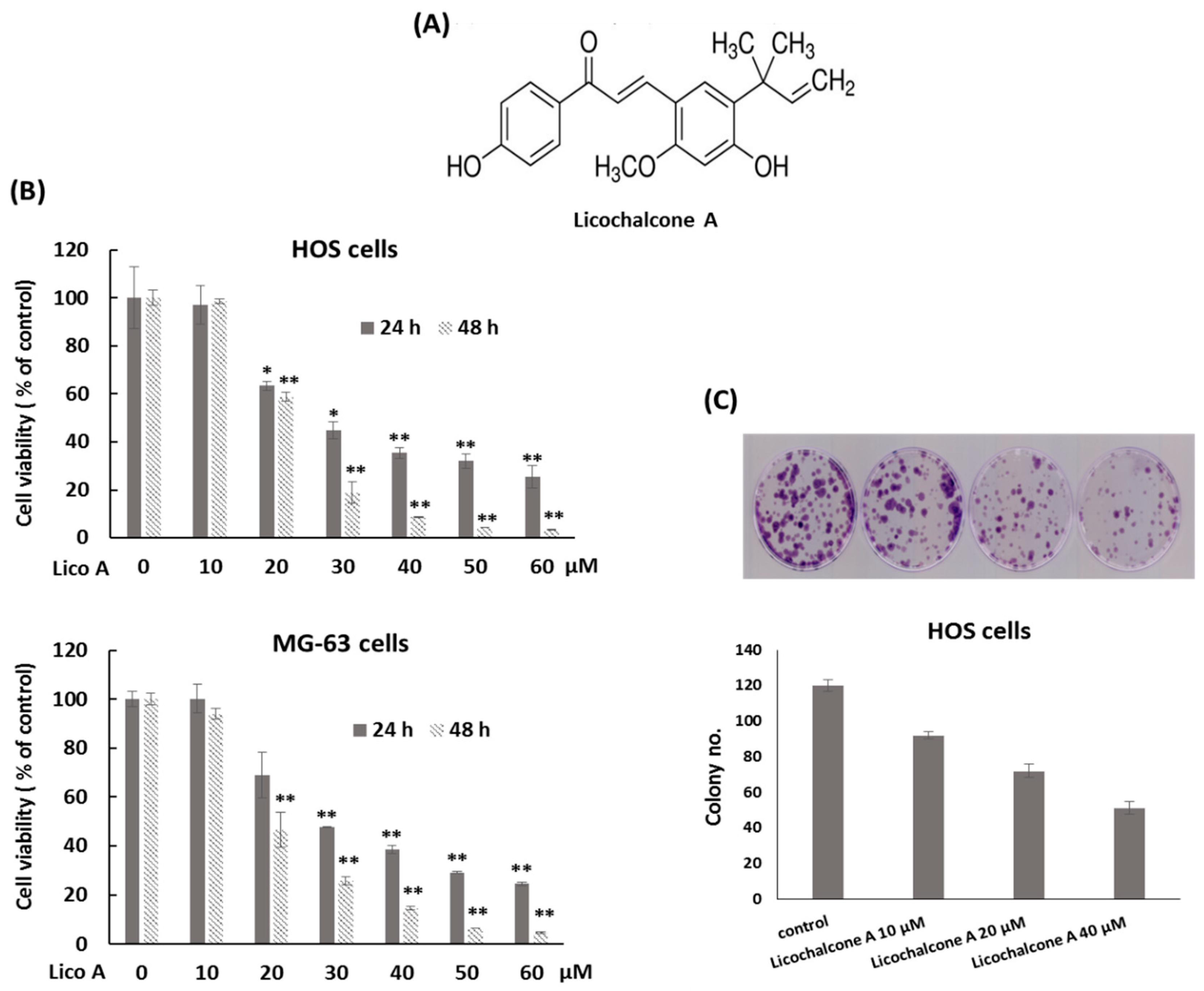 Molecules 24 02435 g001 Molecules 24 02435 g001