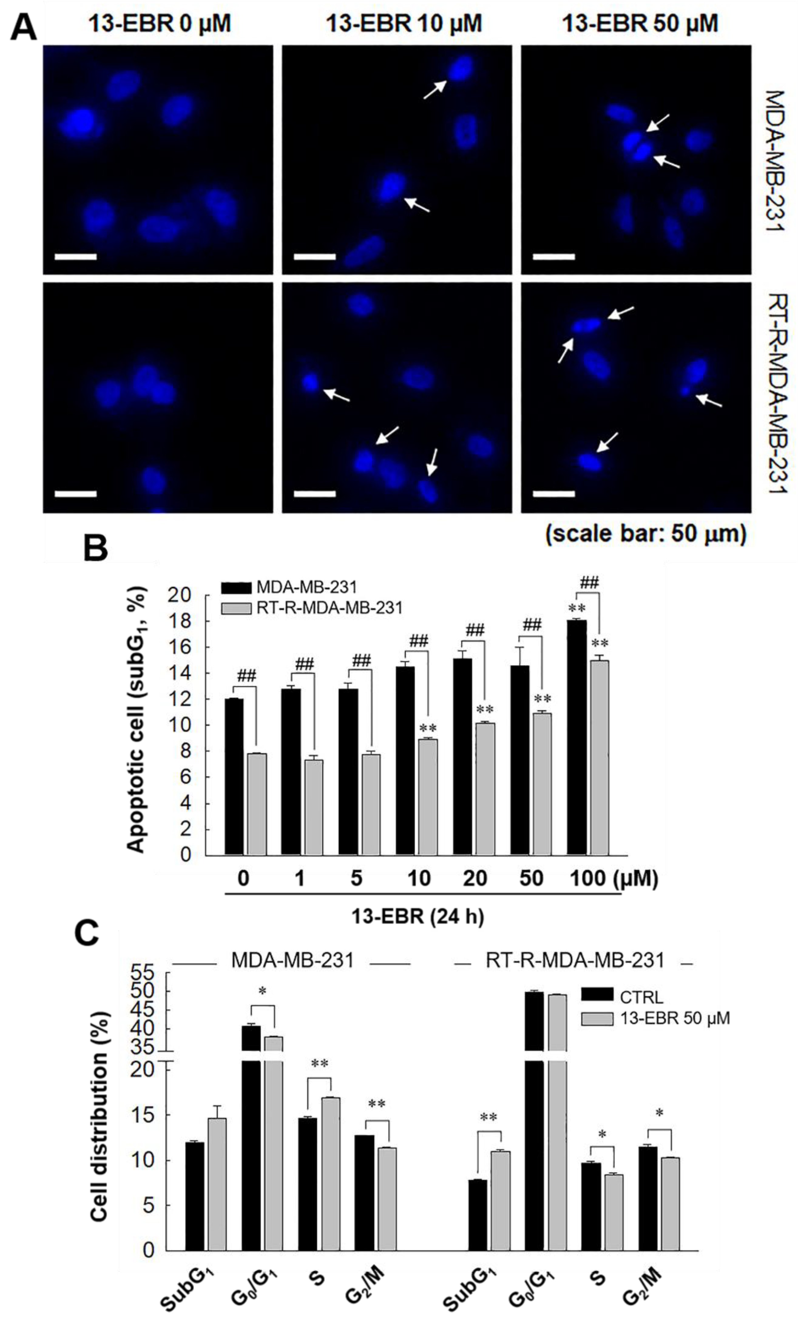 Molecules 24 02448 g003 Molecules 24 02448 g003