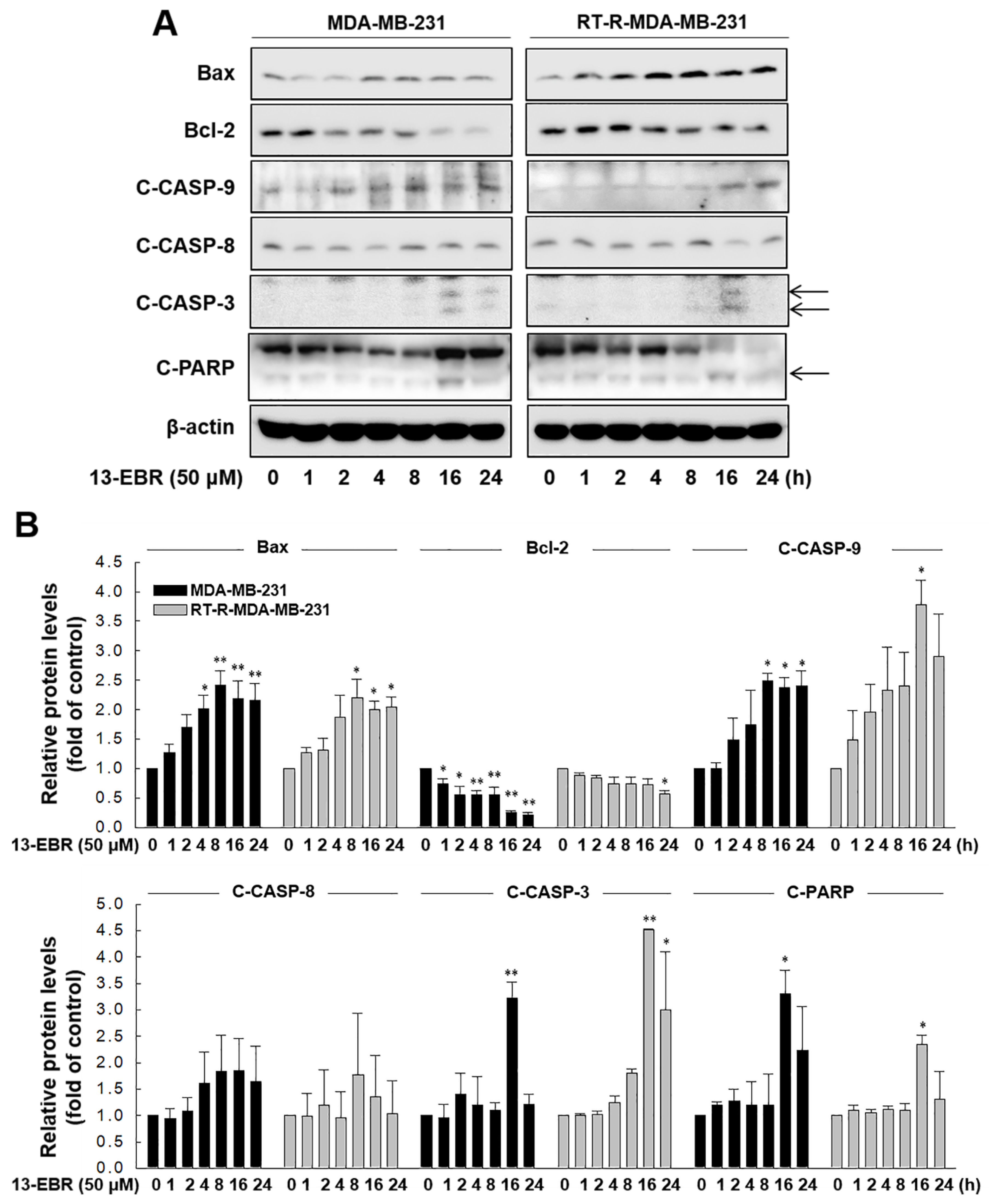 Molecules 24 02448 g004 Molecules 24 02448 g004