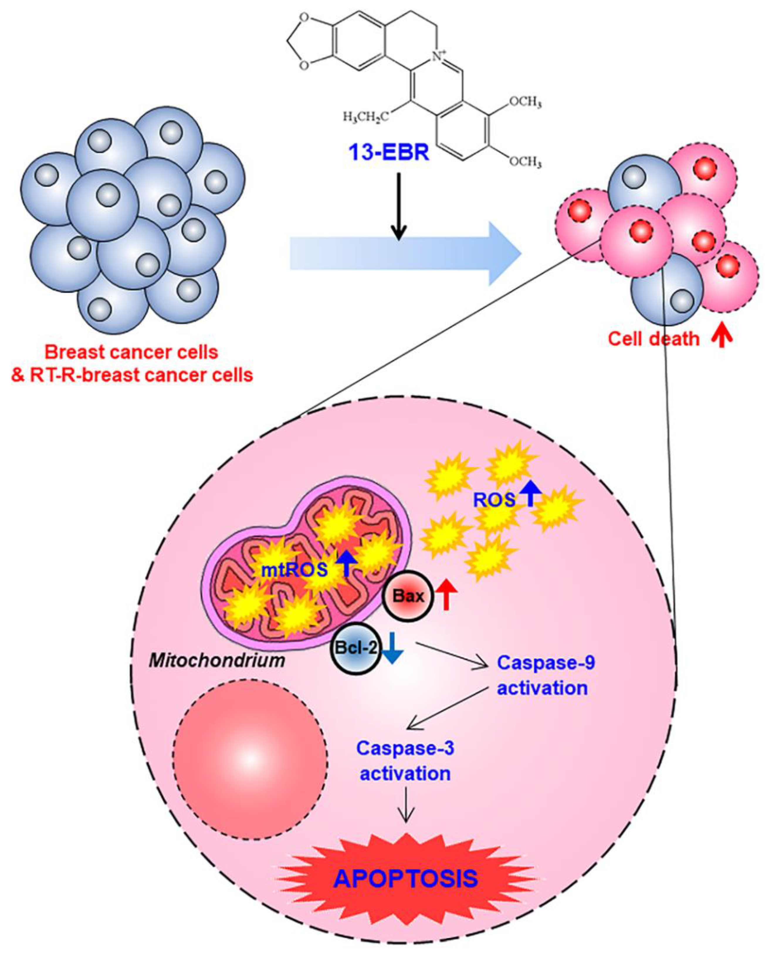 Molecules 24 02448 g005 Molecules 24 02448 g005