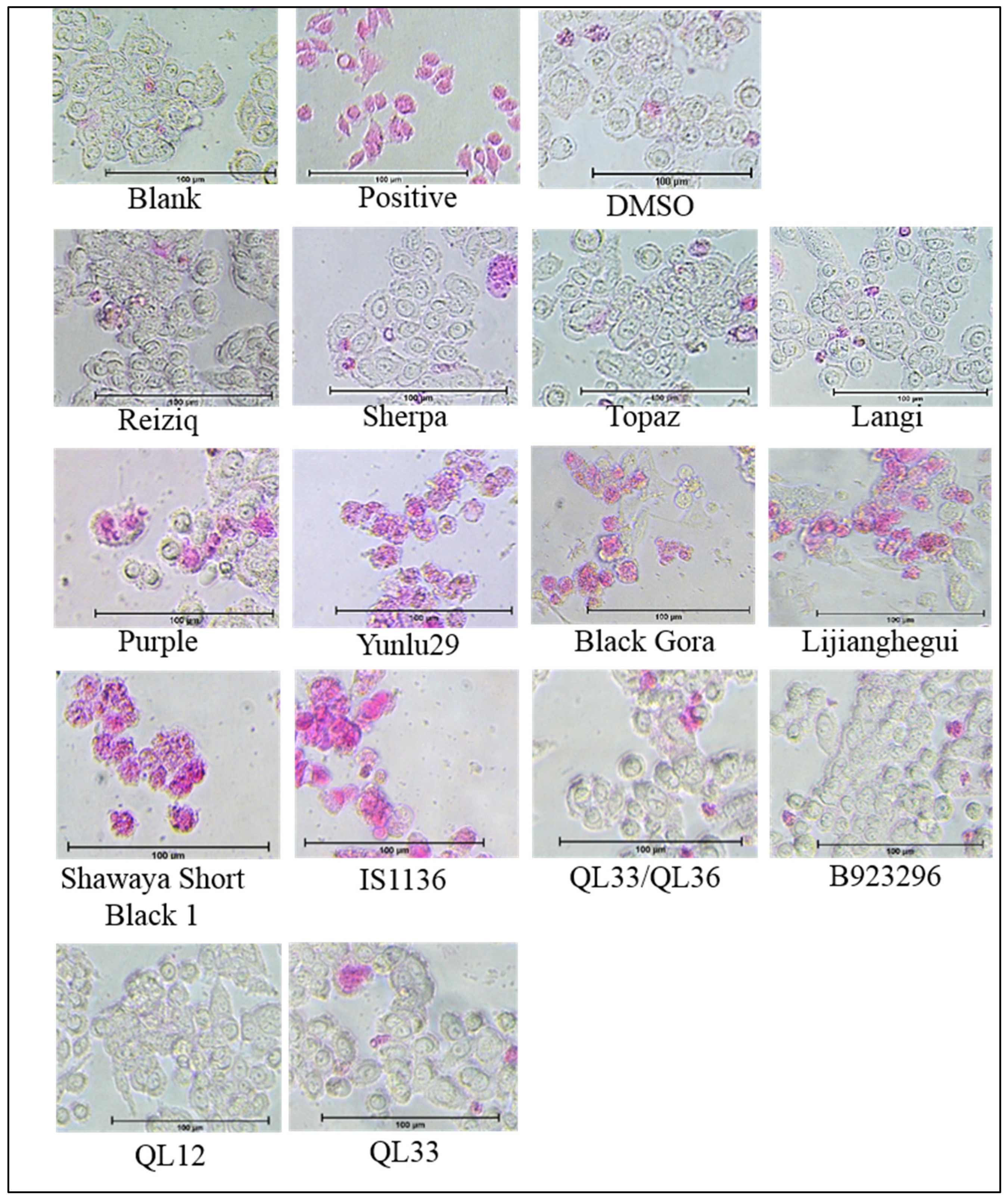 Molecules 24 02465 g002