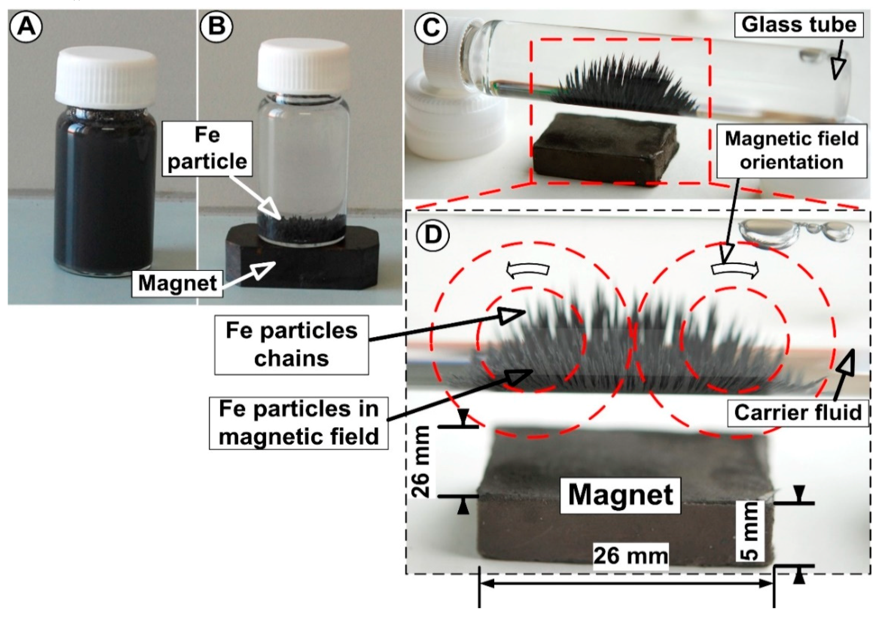 Magnetic fingerprint technology: Magnetic brush attracting the iron