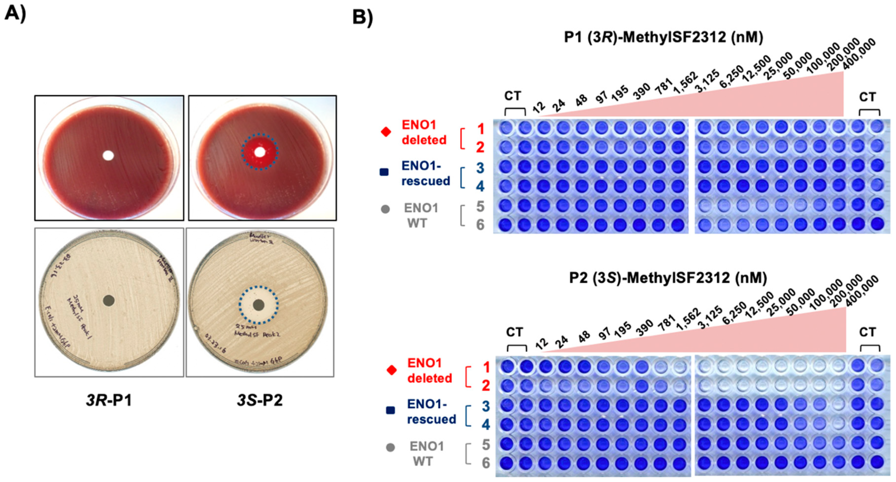 Molecules 24 02510 g007