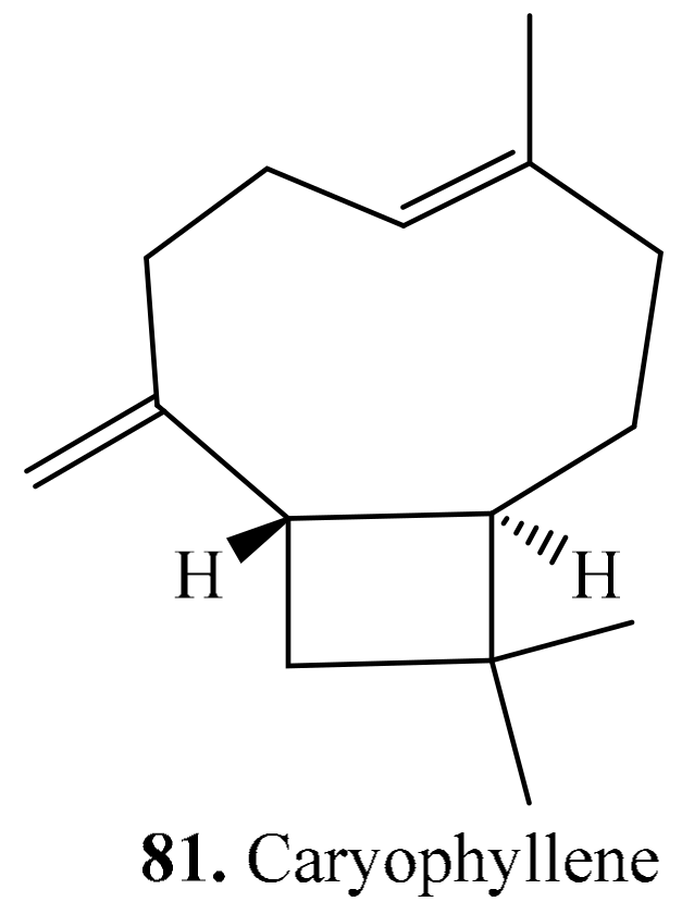 Molecules 24 02512 g009