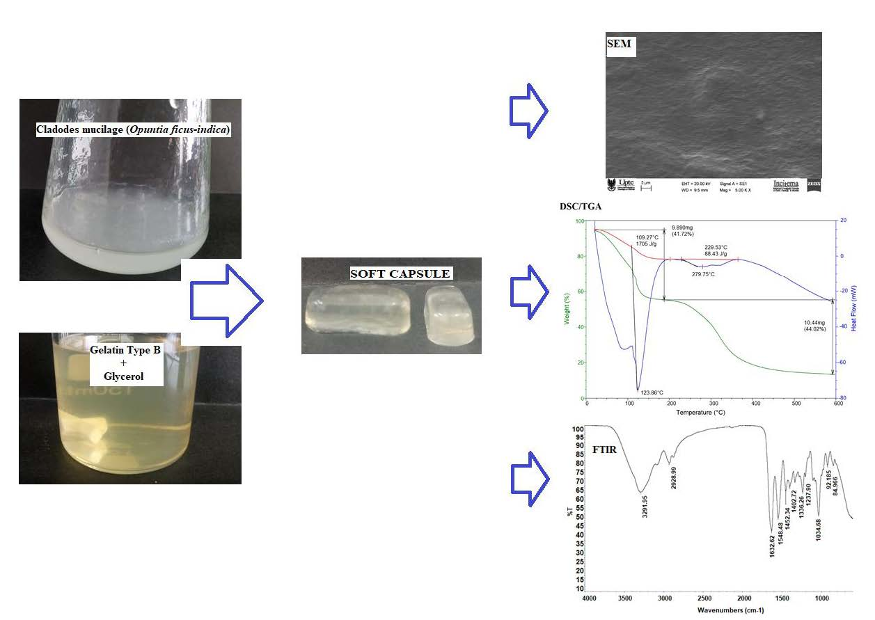 dsc protocol for gelatinization