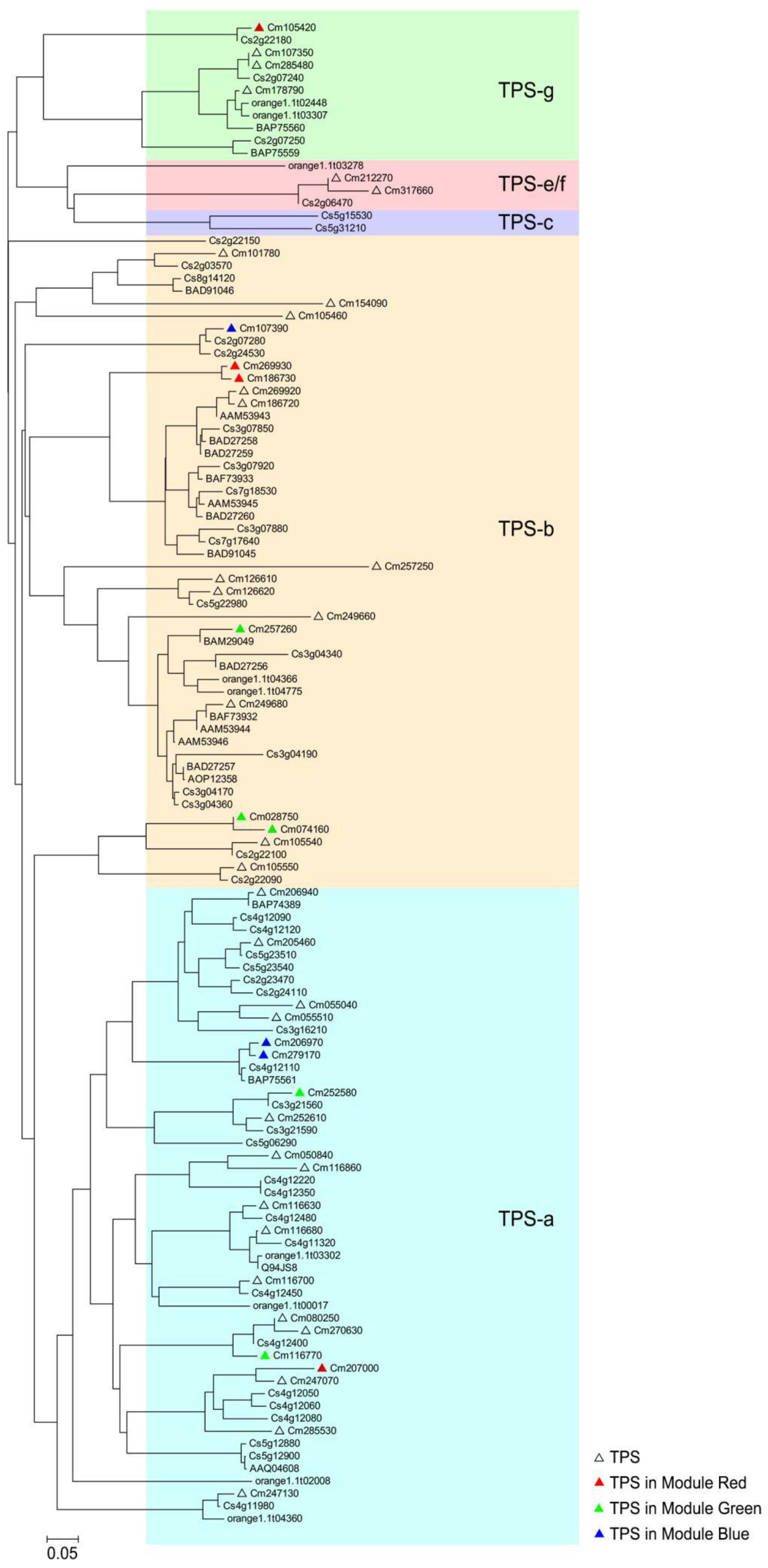 Molecules 24 02564 g009 Molecules 24 02564 g009