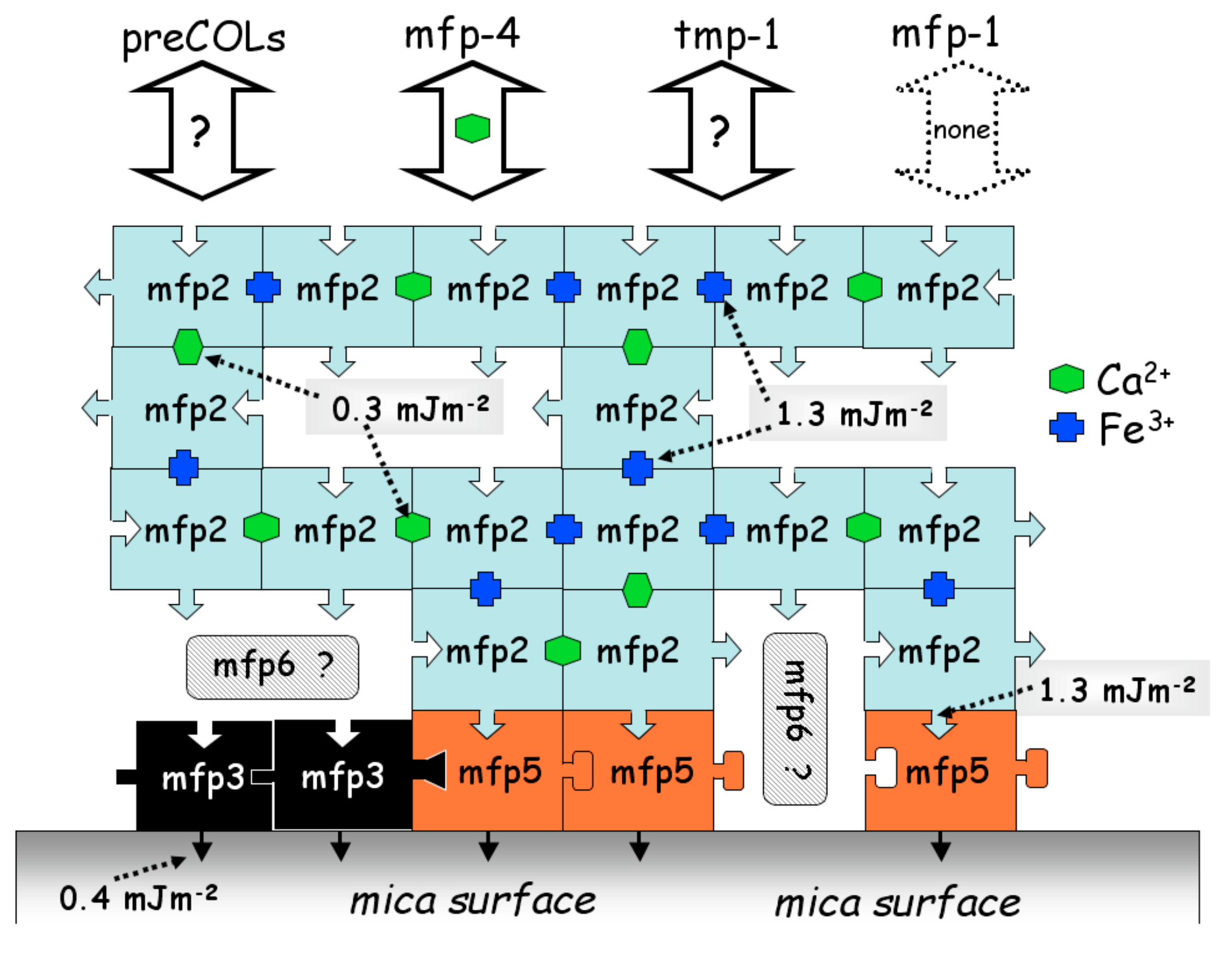 Molecules 24 02586 g002 Molecules 24 02586 g002