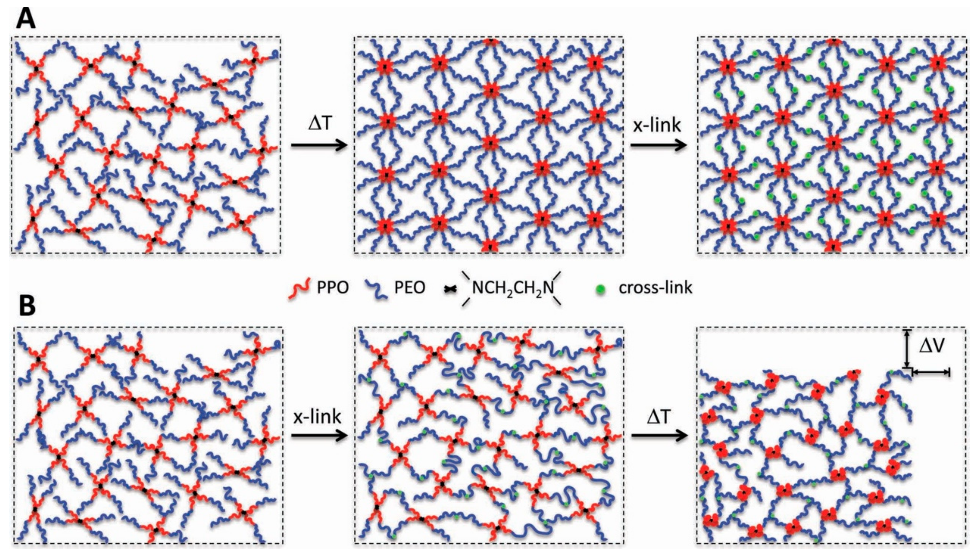 Molecules 24 02586 g009 Molecules 24 02586 g009