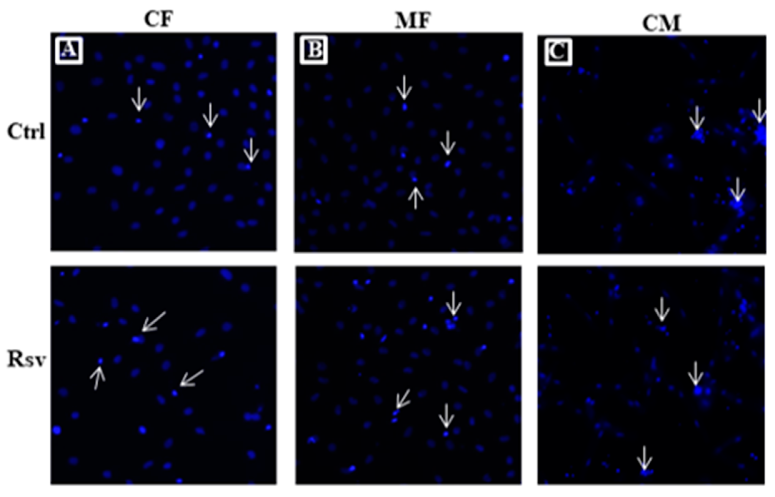 Molecules 24 02604 g003a Molecules 24 02604 g003a