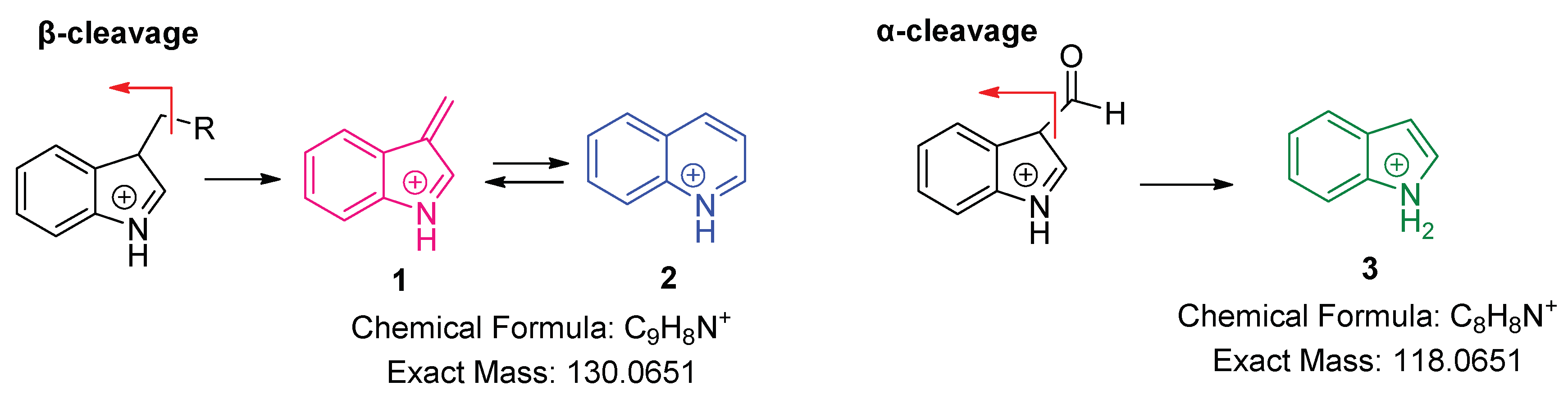 Molecules 24 02615 g002 Molecules 24 02615 g002