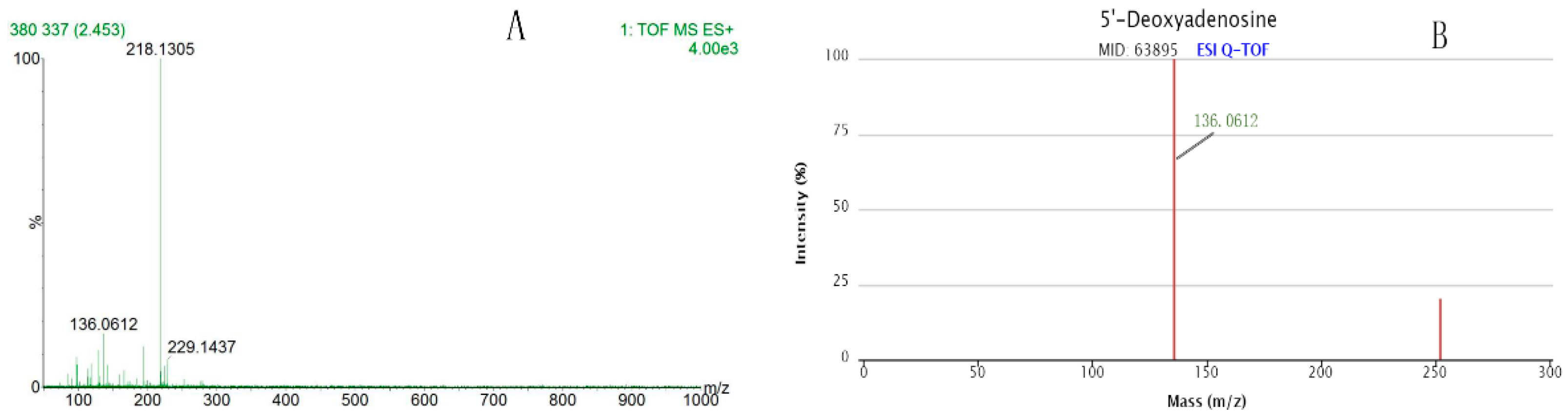 Molecules 24 02660 g006 Molecules 24 02660 g006