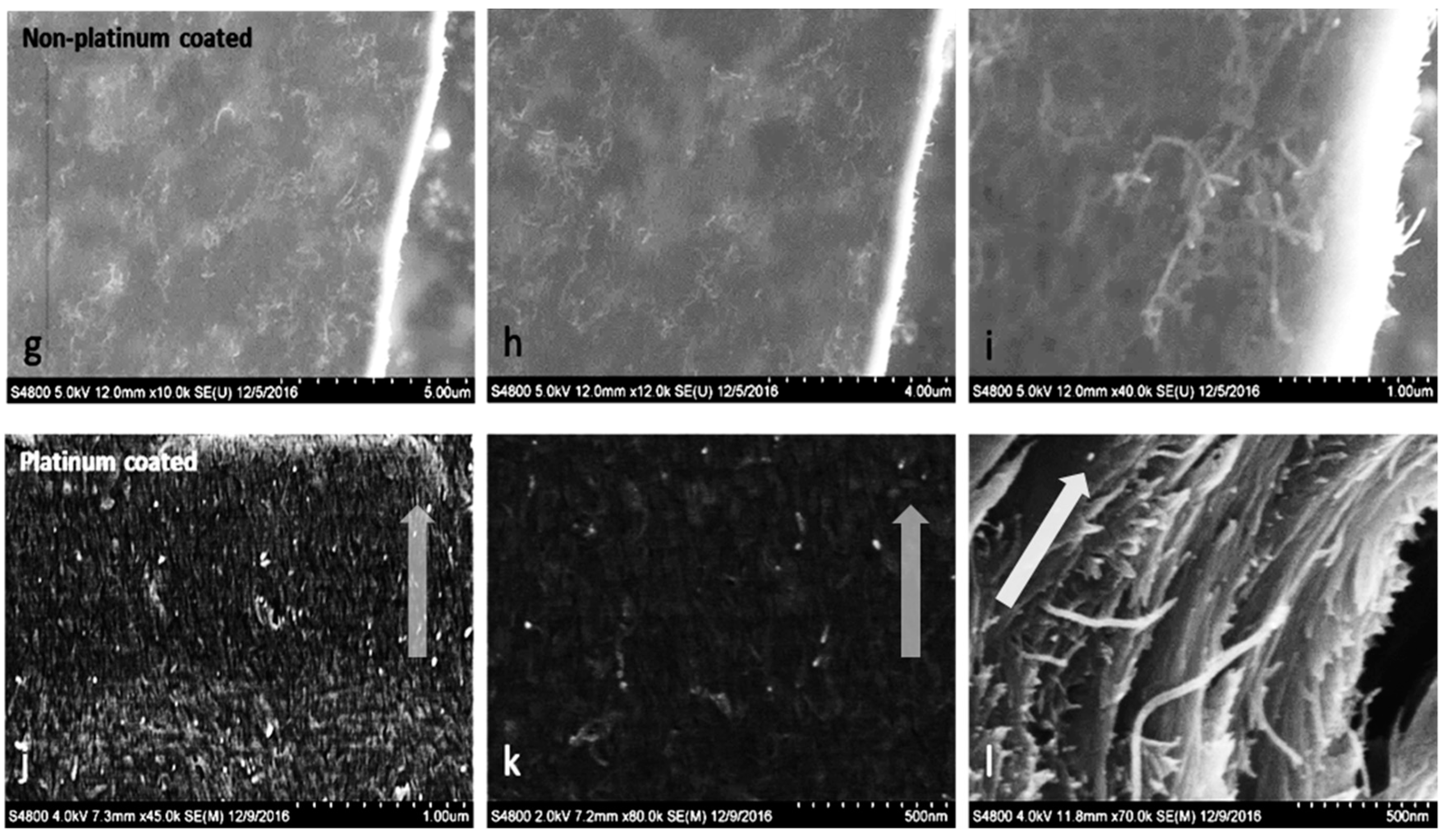 Molecules | Free Carbon Nanotube ... | and Cellulose Full-Text