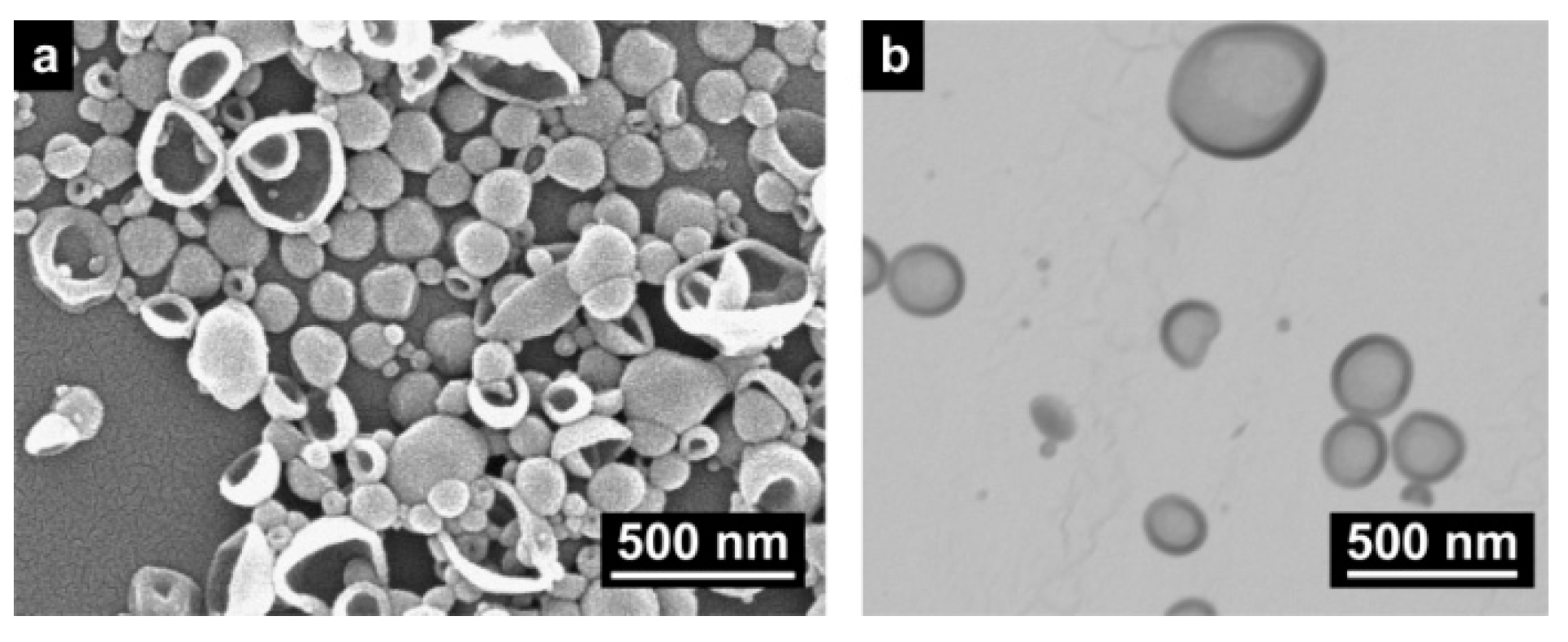 Molecules 24 02663 g002 Molecules 24 02663 g002