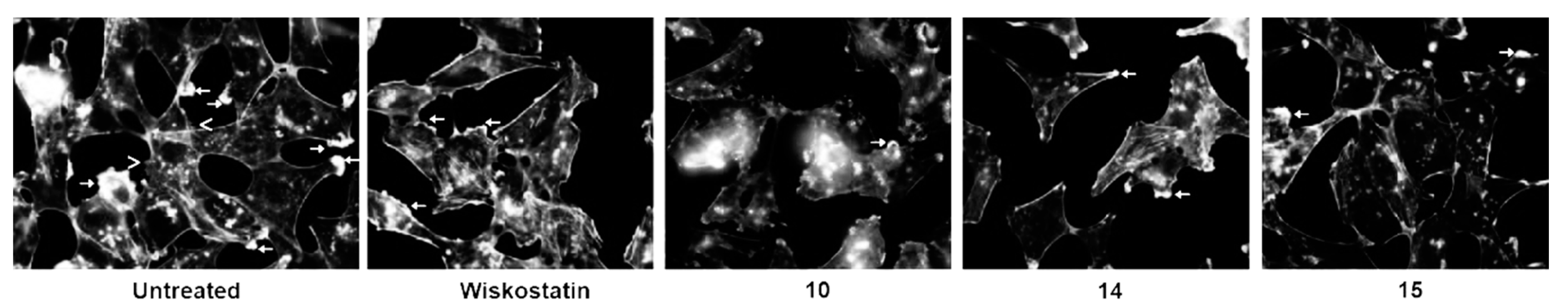 Molecules 24 02686 g004 Molecules 24 02686 g004