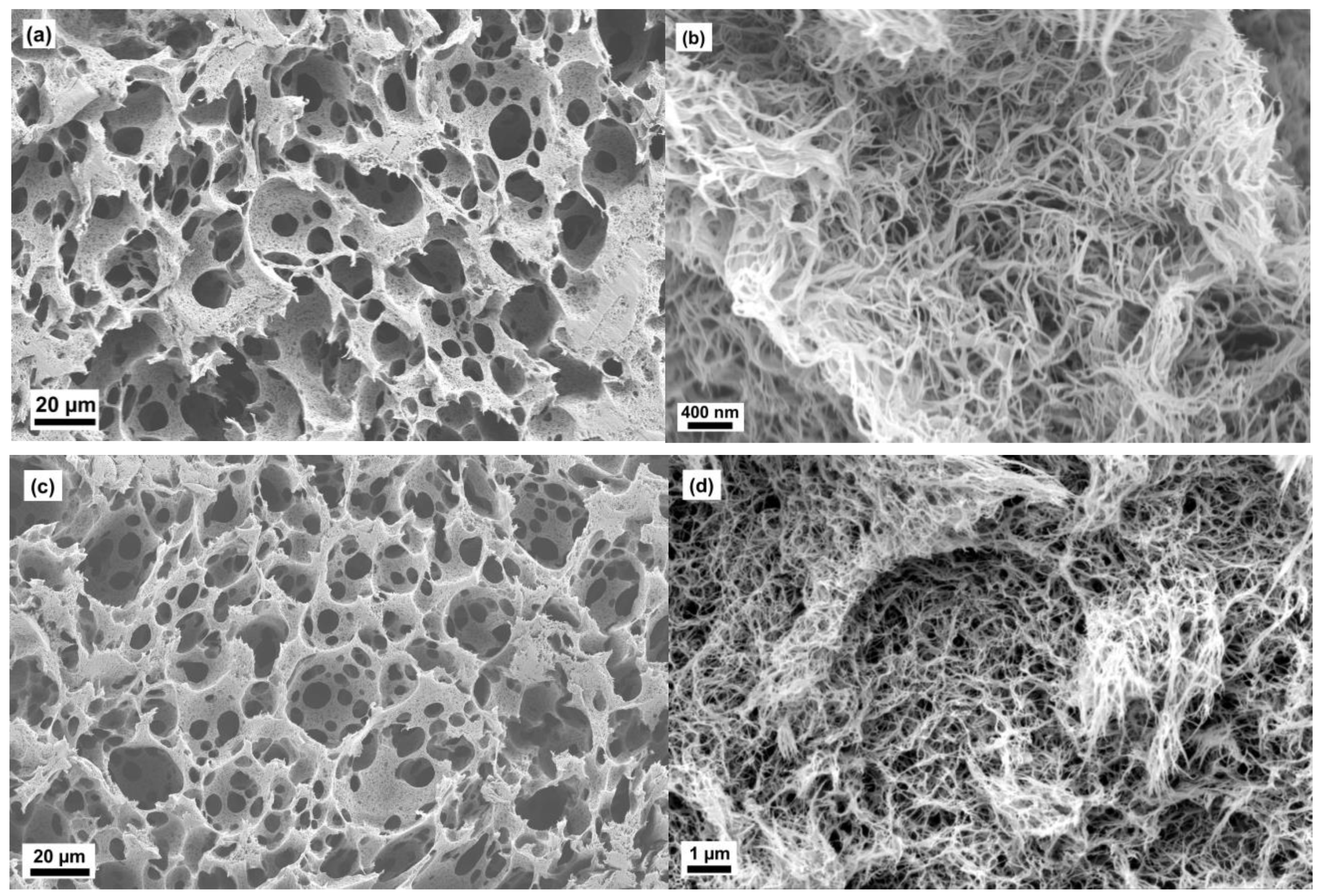 Molecules 24 02688 g004 Molecules 24 02688 g004