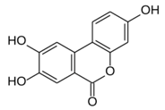 Molecules 24 02689 i010 Molecules 24 02689 i010