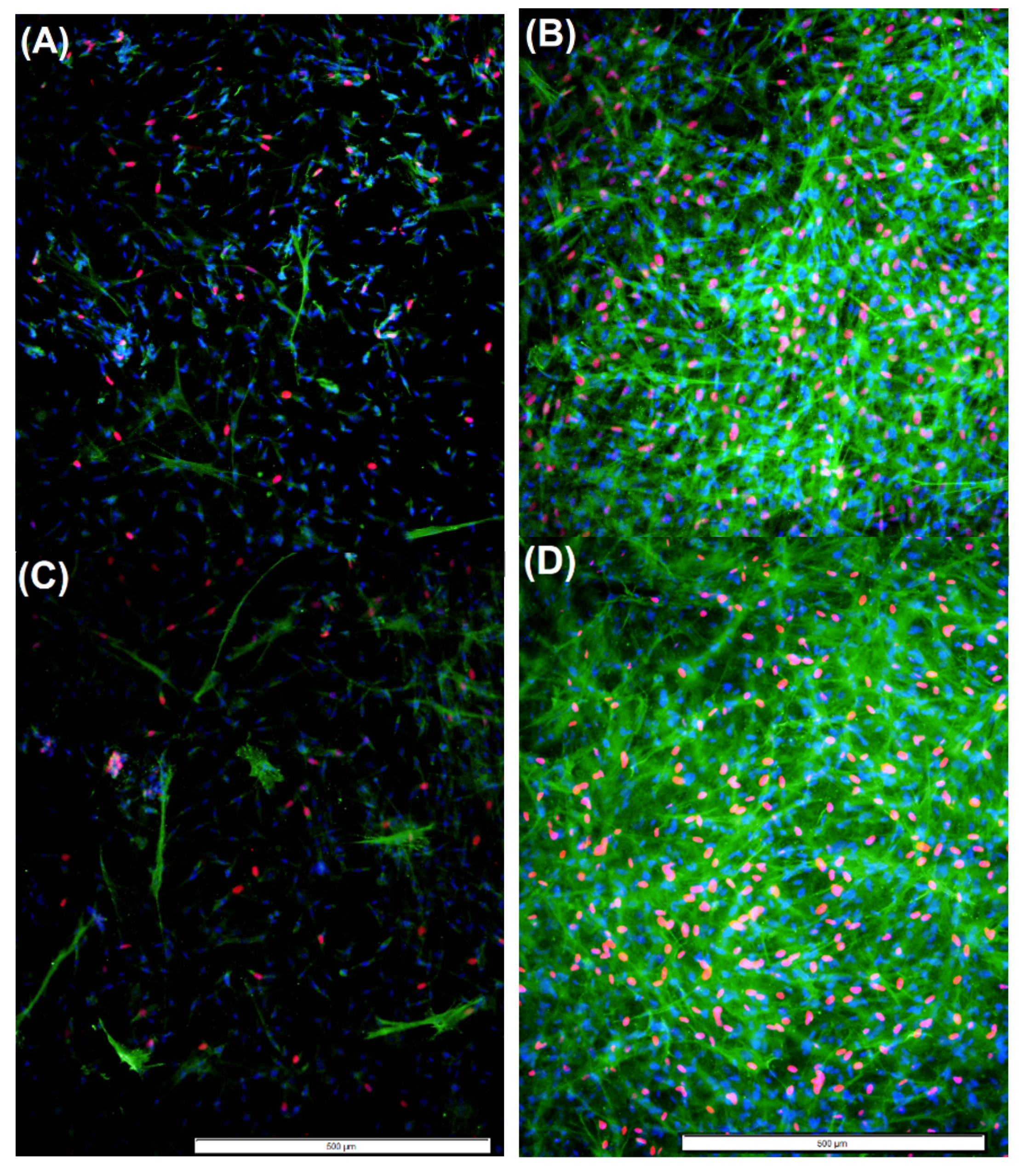 Molecules 24 02713 g007 Molecules 24 02713 g007