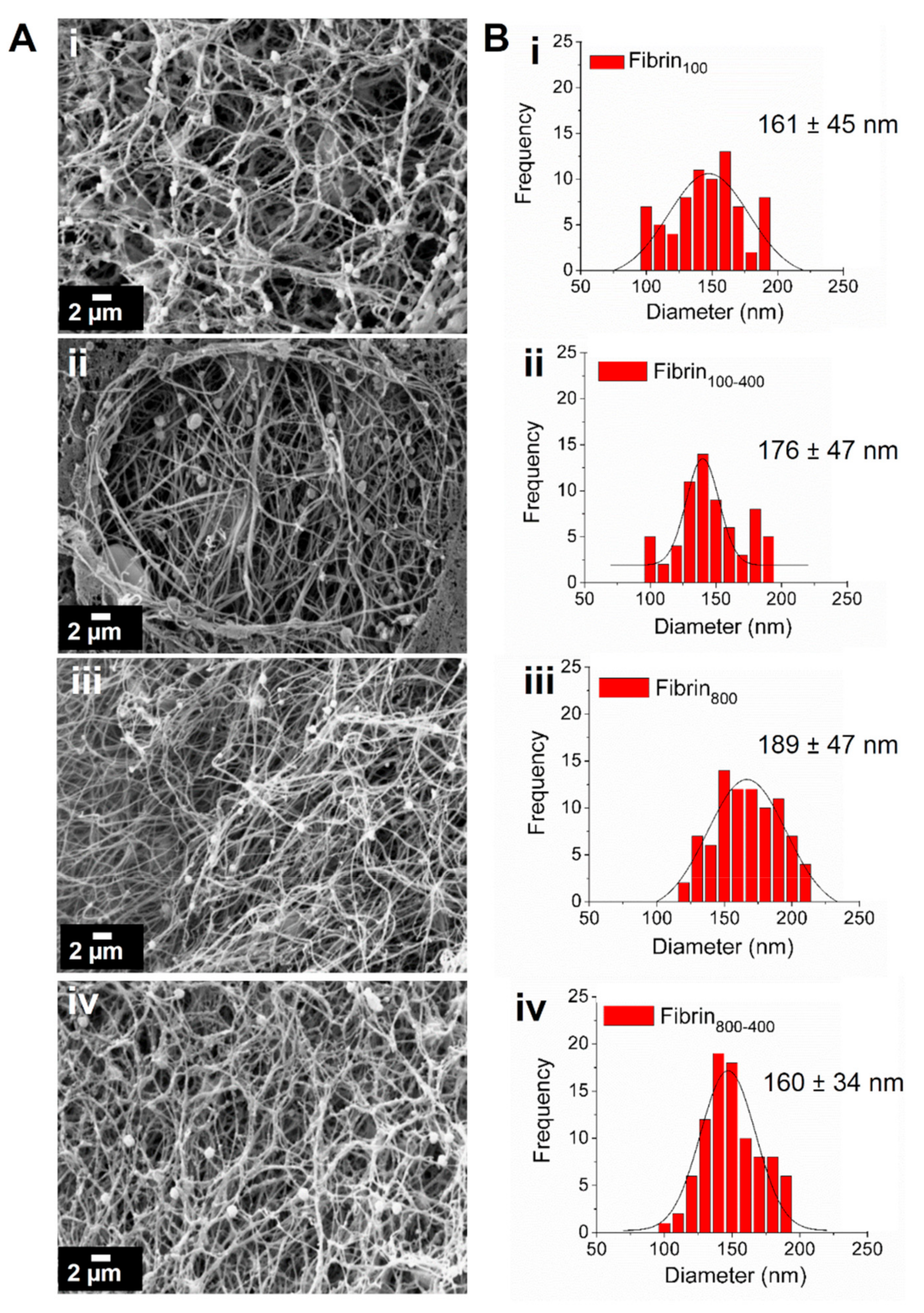 Molecules 24 02729 g004 Molecules 24 02729 g004