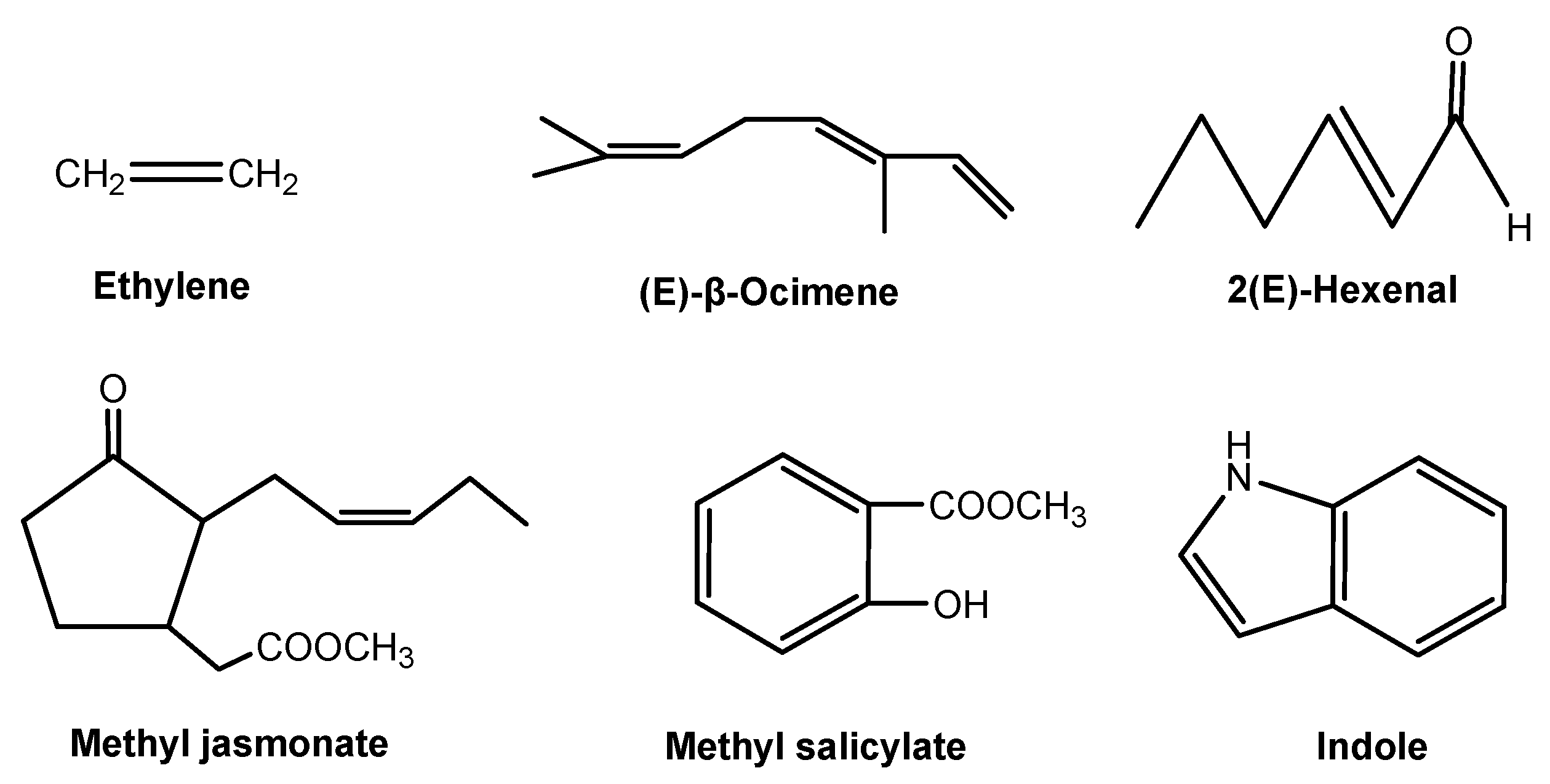 Molecules 24 02737 g005 Molecules 24 02737 g005