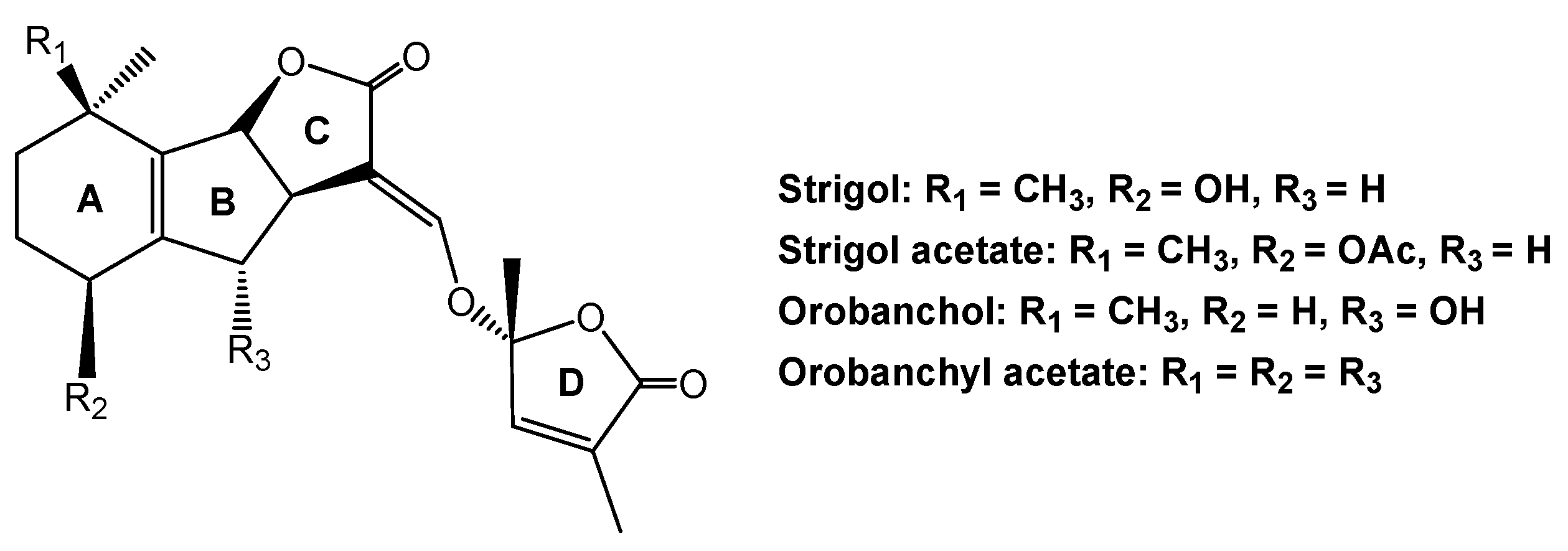 Molecules 24 02737 g006 Molecules 24 02737 g006