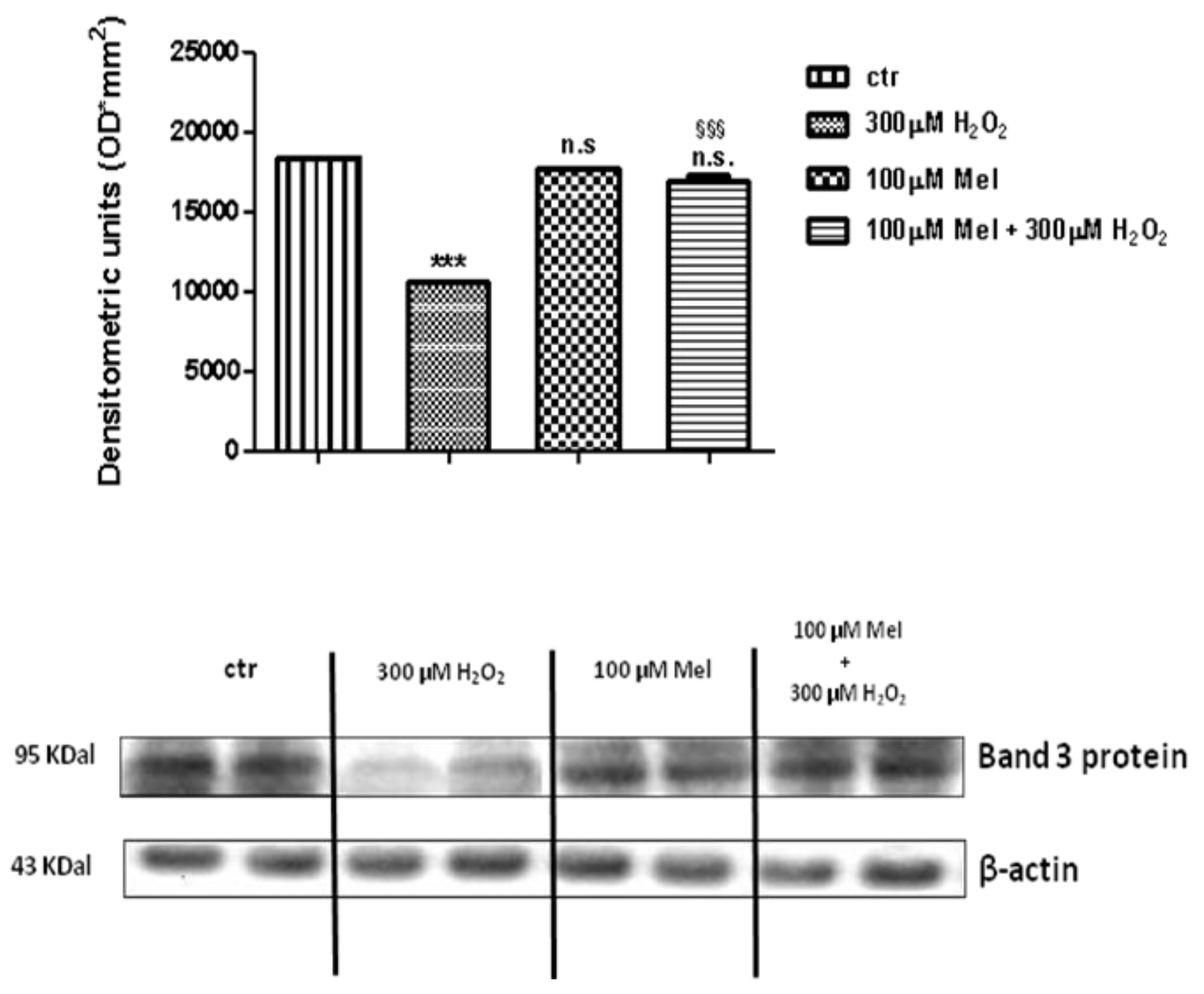 Molecules 24 02741 g009 Molecules 24 02741 g009