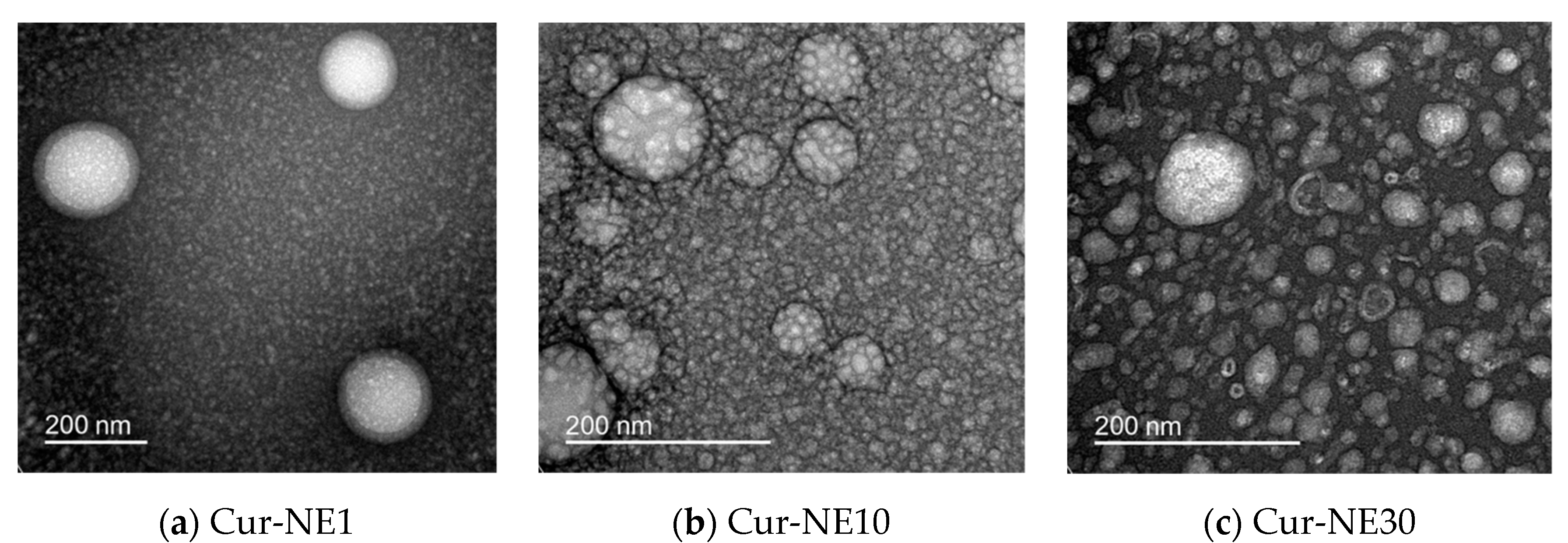 Molecules 24 02744 g002