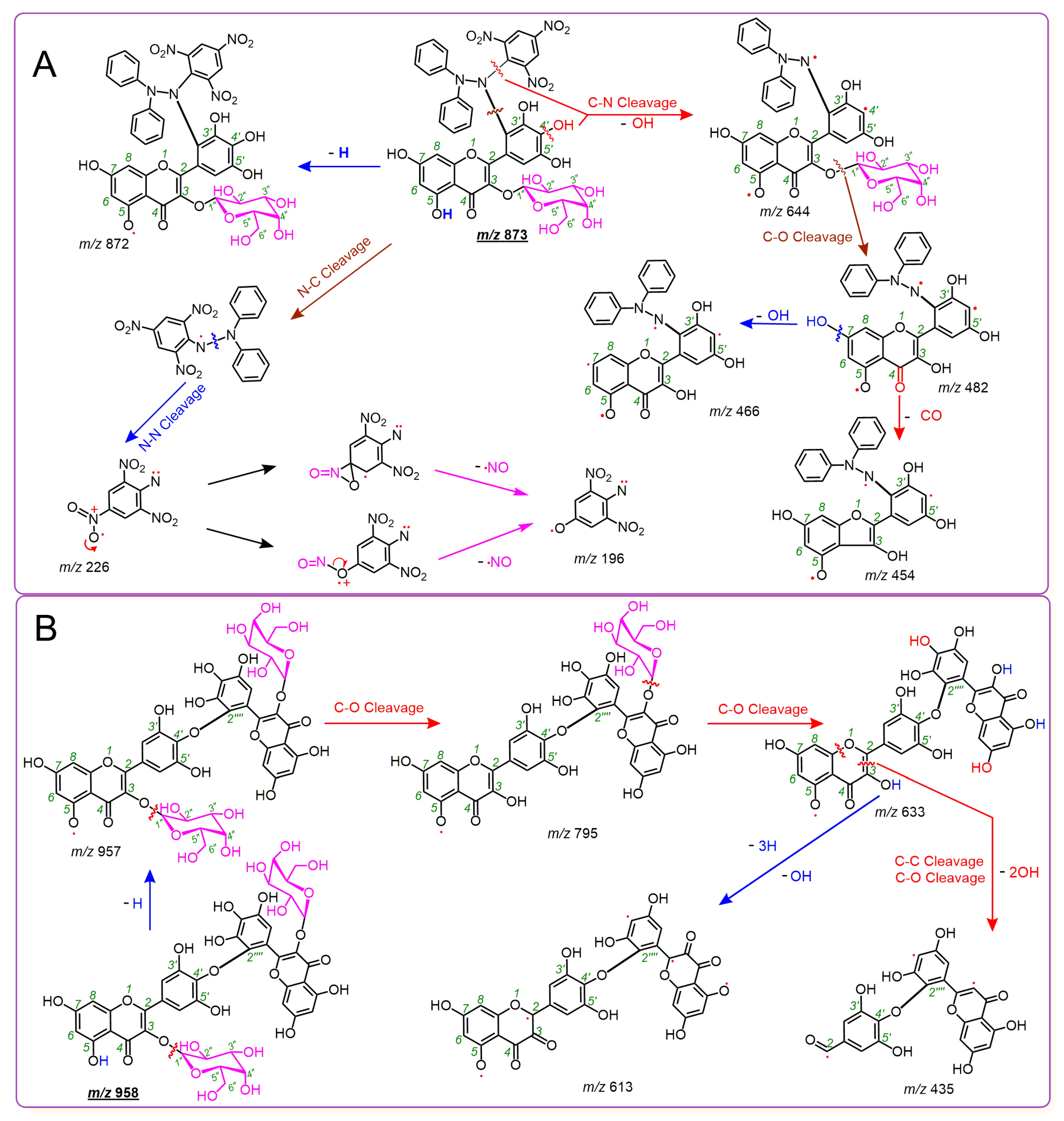 Molecules 24 02769 g003