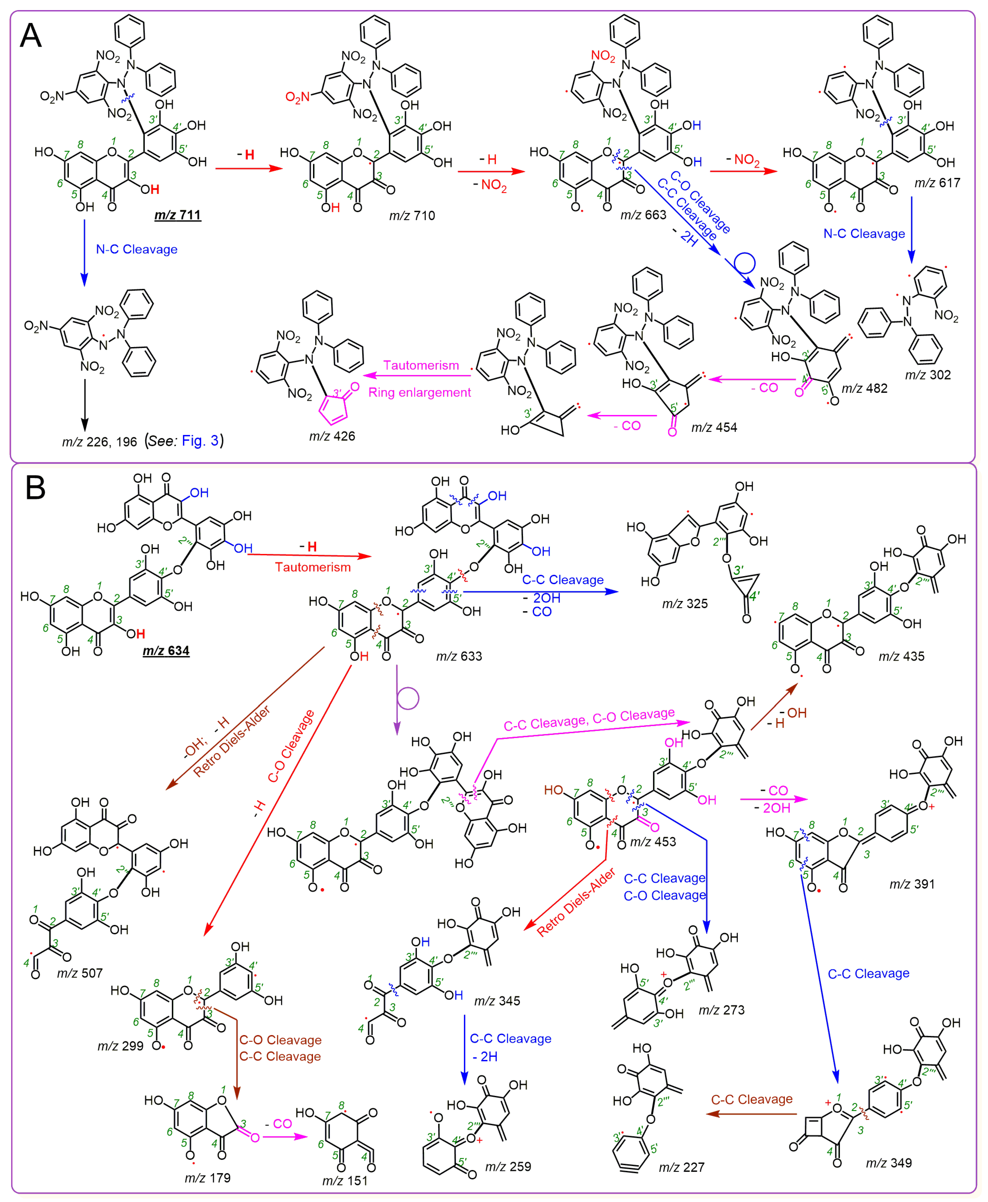 Molecules 24 02769 g004