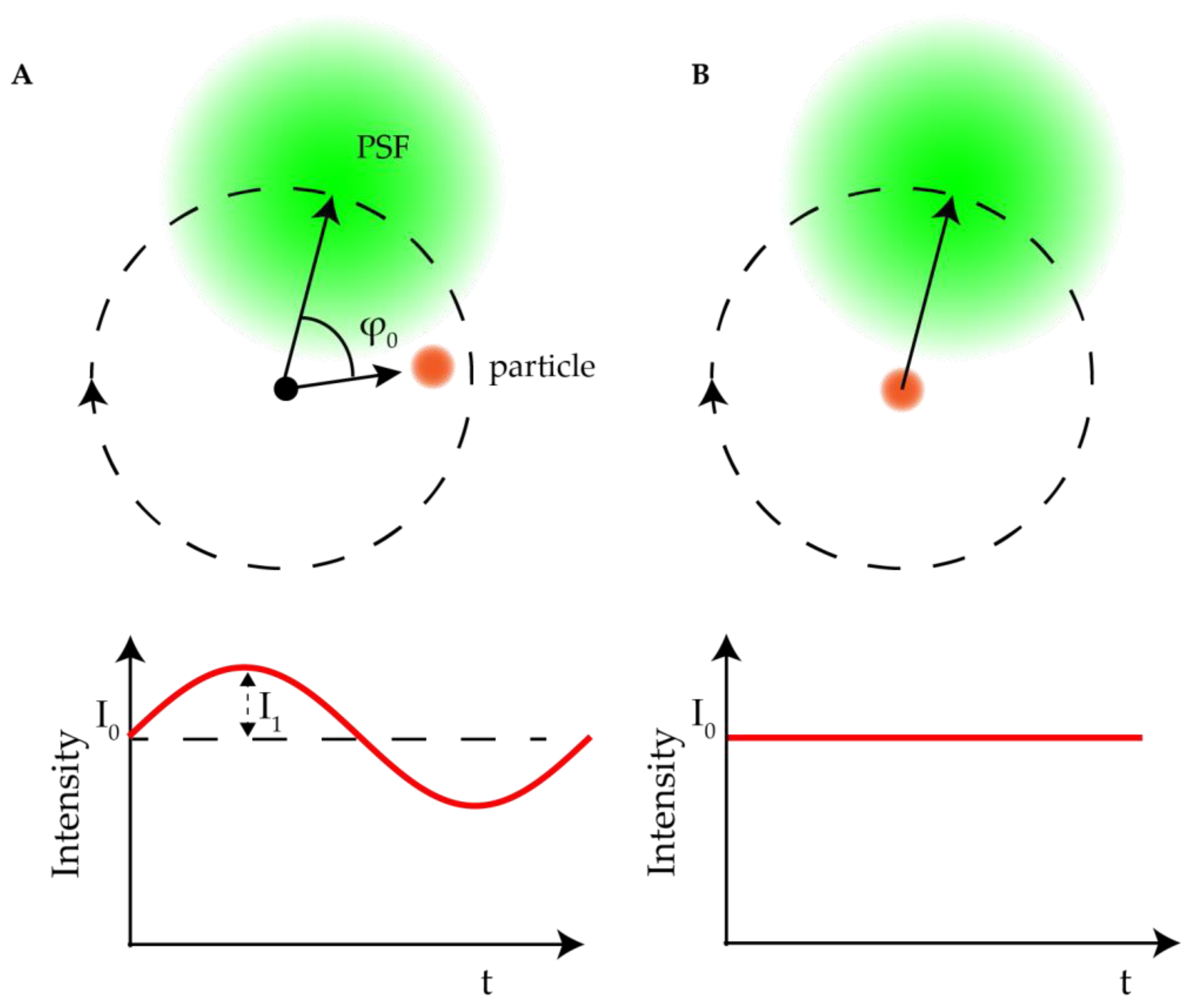 Precise Three-Dimensional Scan-Free Multiple-Particle Tracking