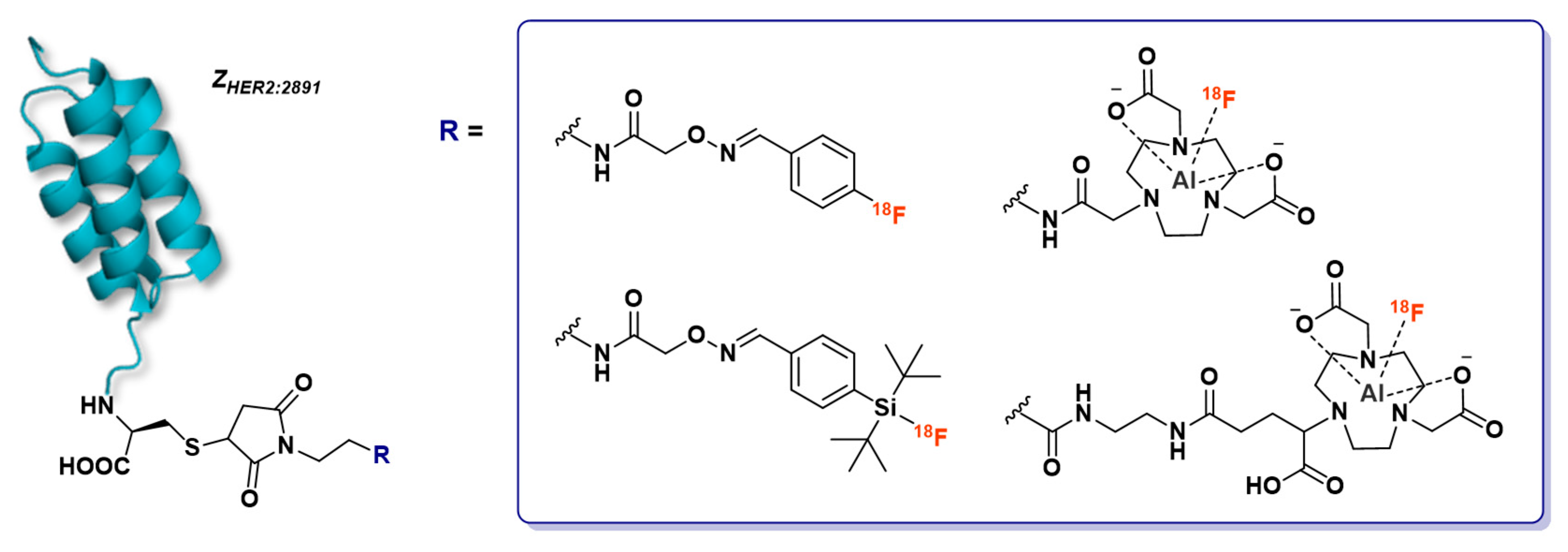 Molecules 24 02866 g015 Molecules 24 02866 g015
