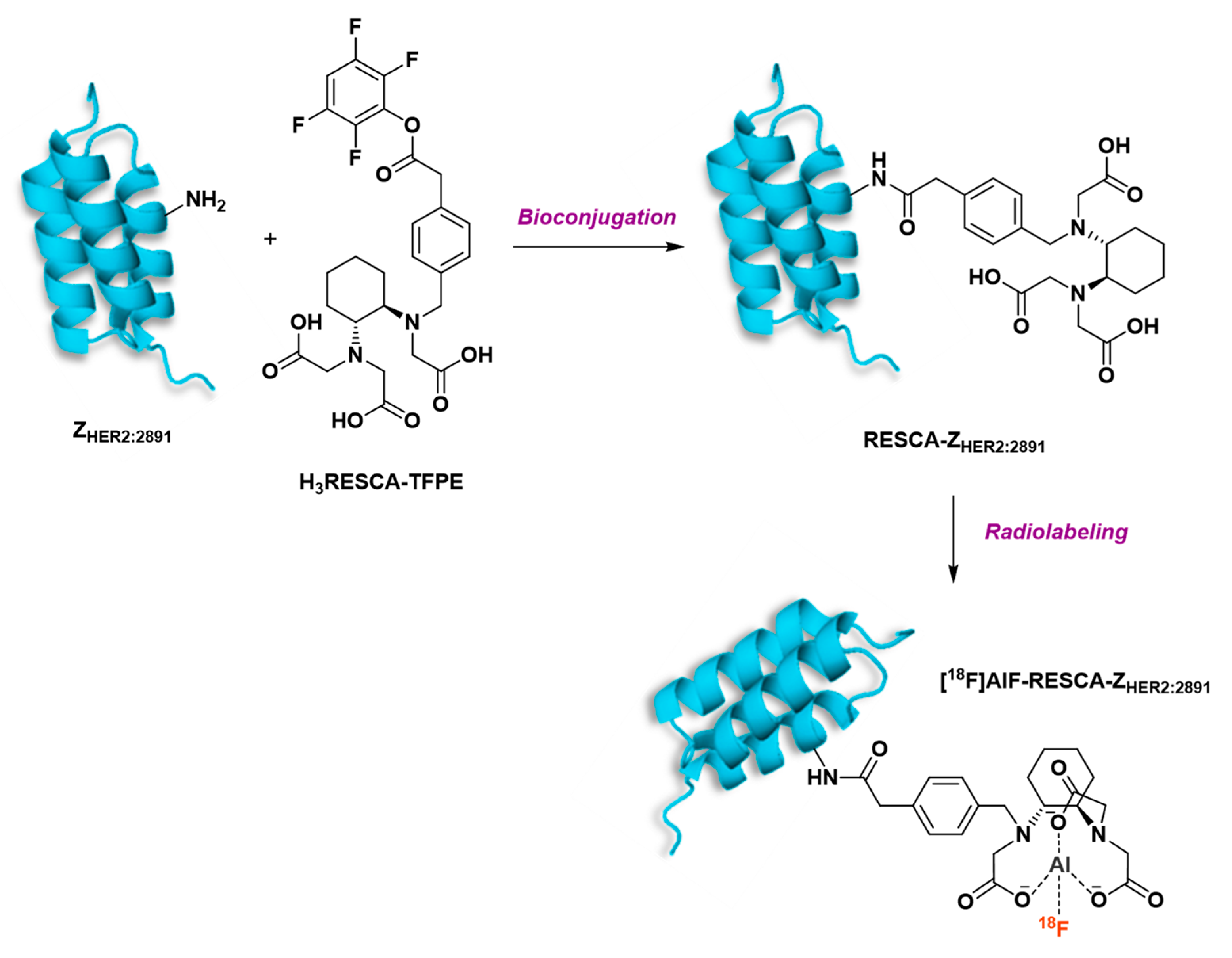 Molecules 24 02866 g019 Molecules 24 02866 g019